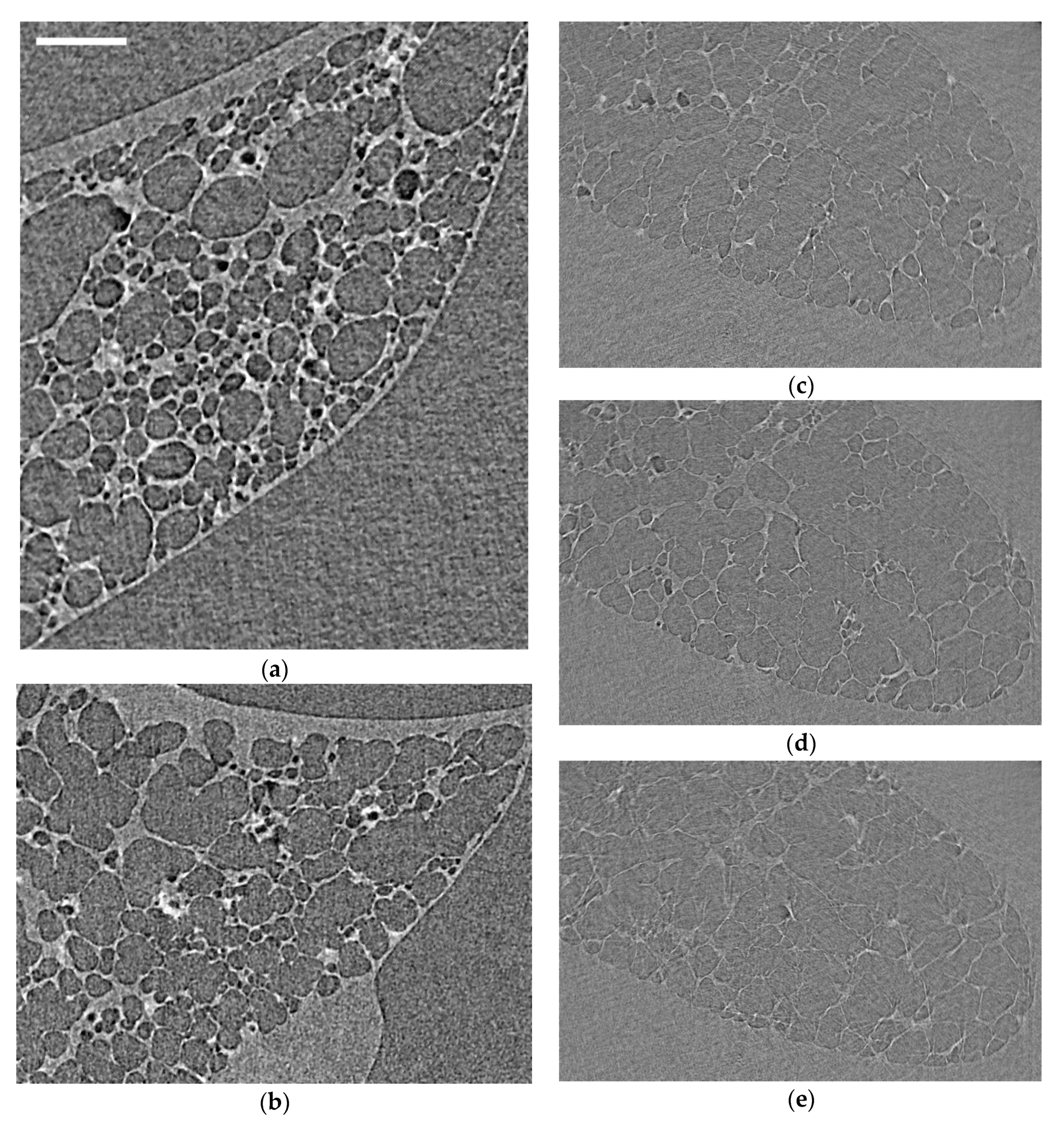 Materials 14 00439 g003 Materials 14 00439 g003