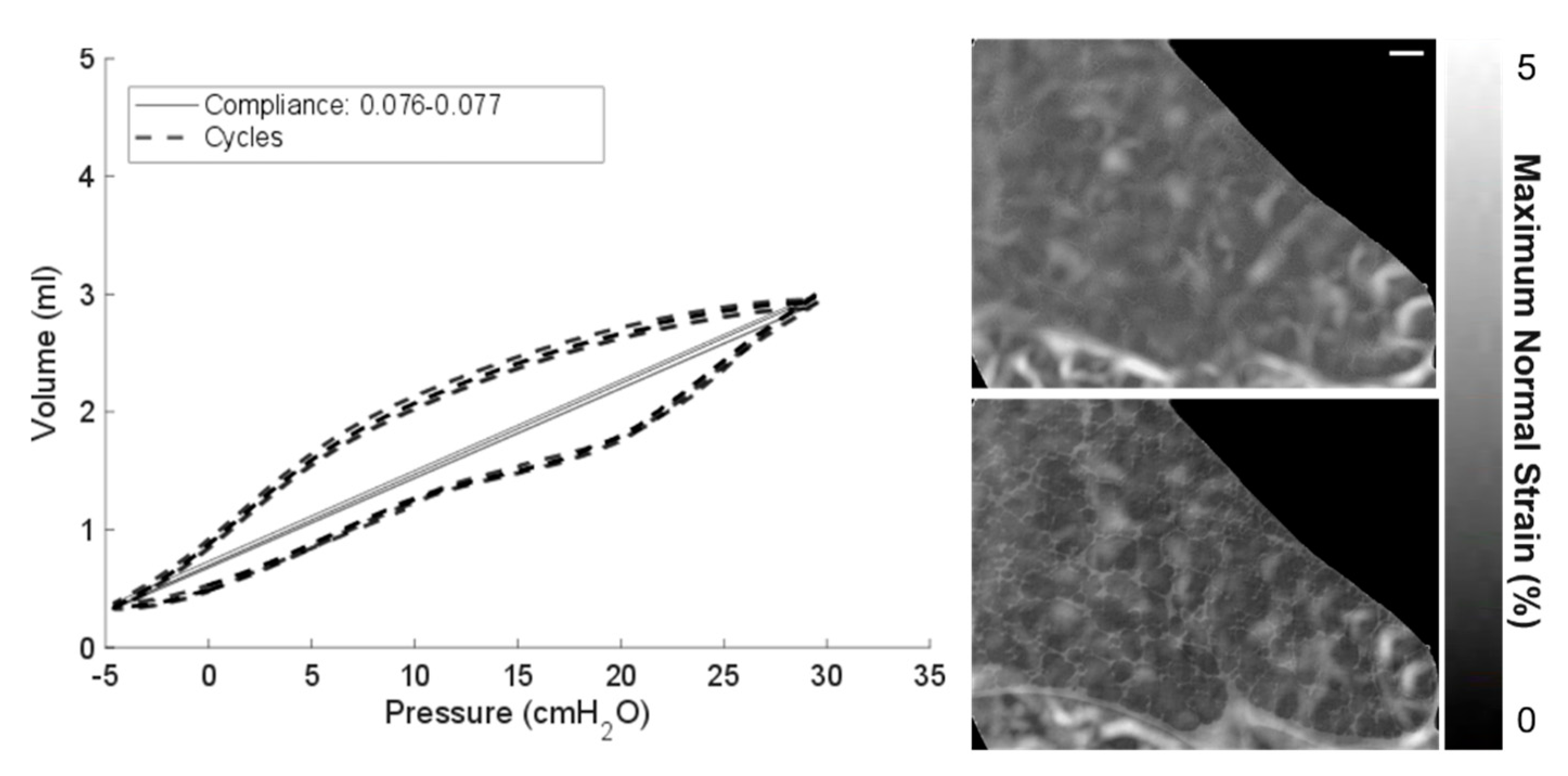 Materials 14 00439 g004 Materials 14 00439 g004