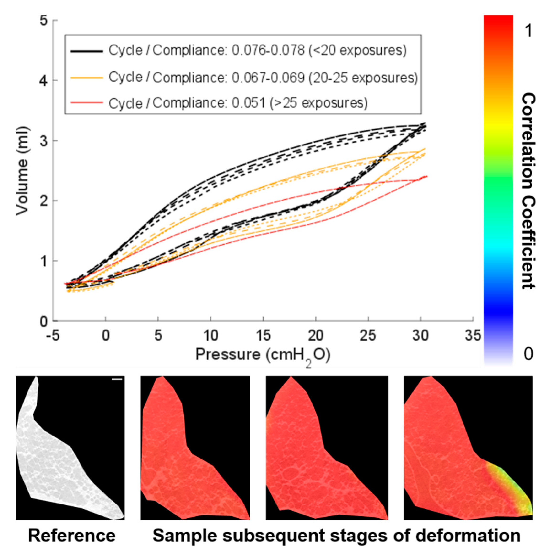 Materials 14 00439 g005 Materials 14 00439 g005