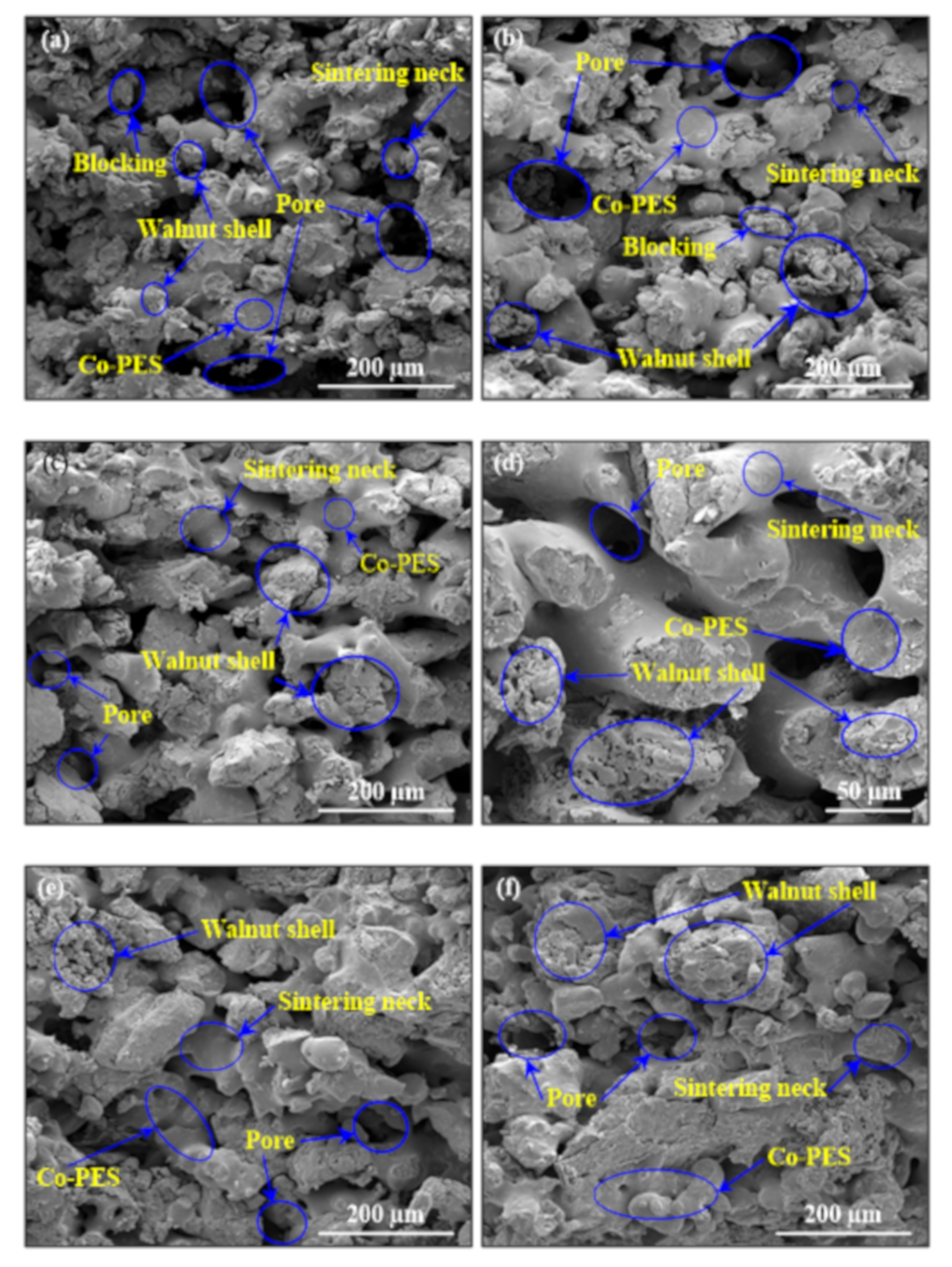 Materials 14 00448 g006 Materials 14 00448 g006