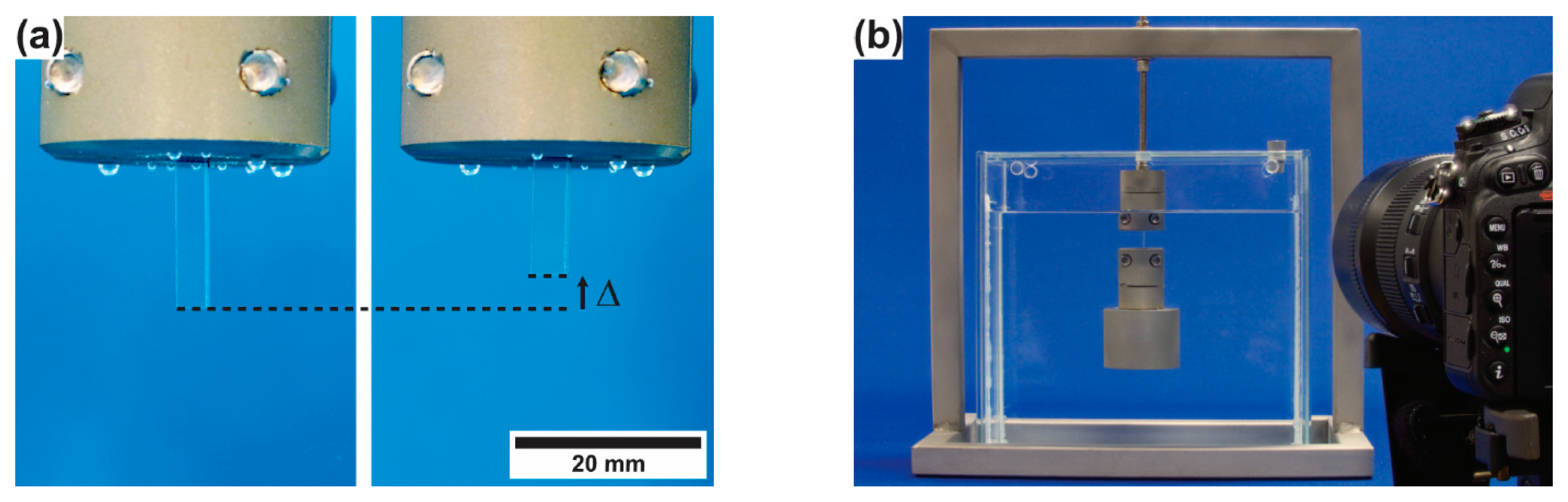 Materials 14 00481 g006