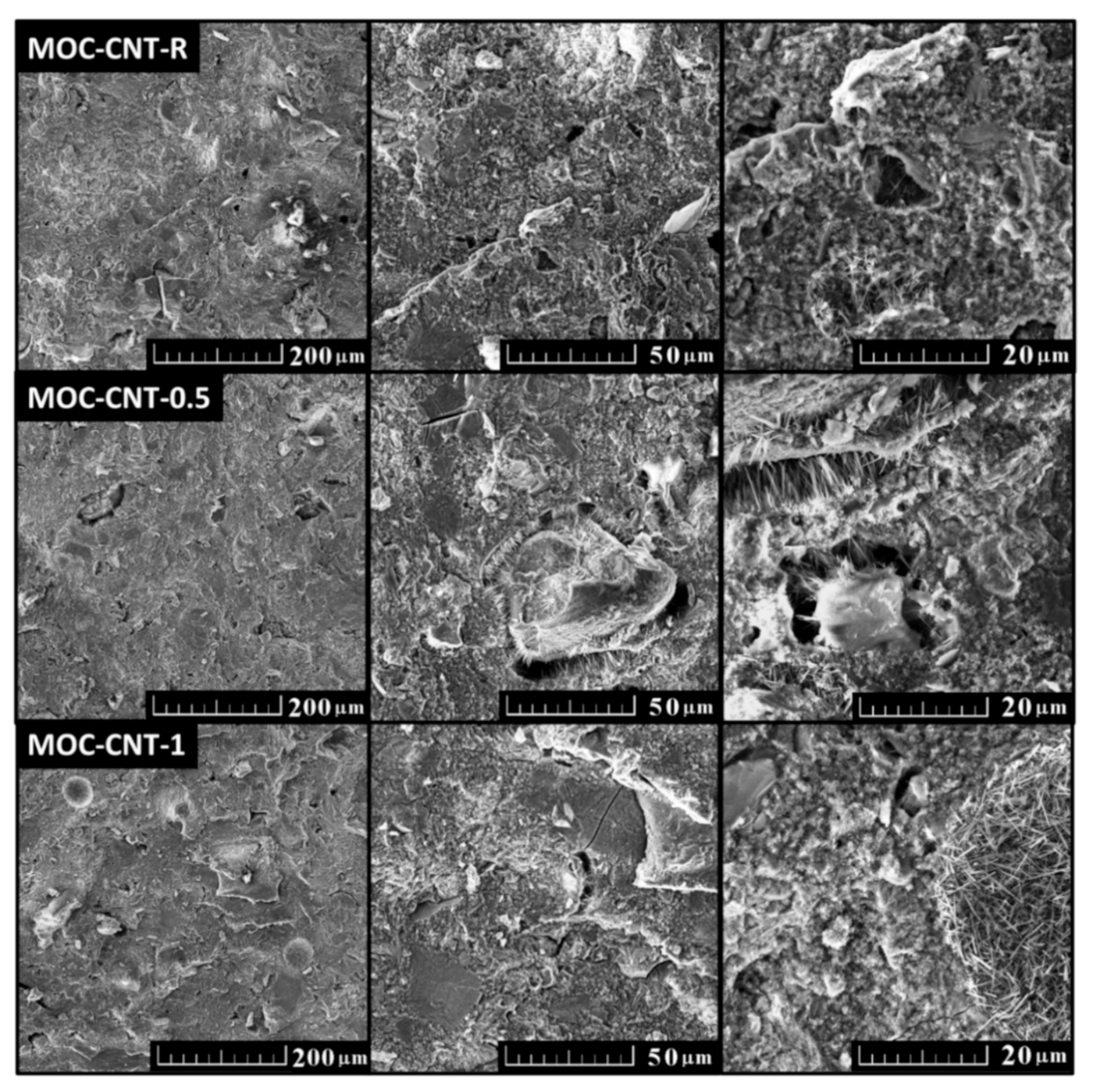 Materials 14 00484 g004