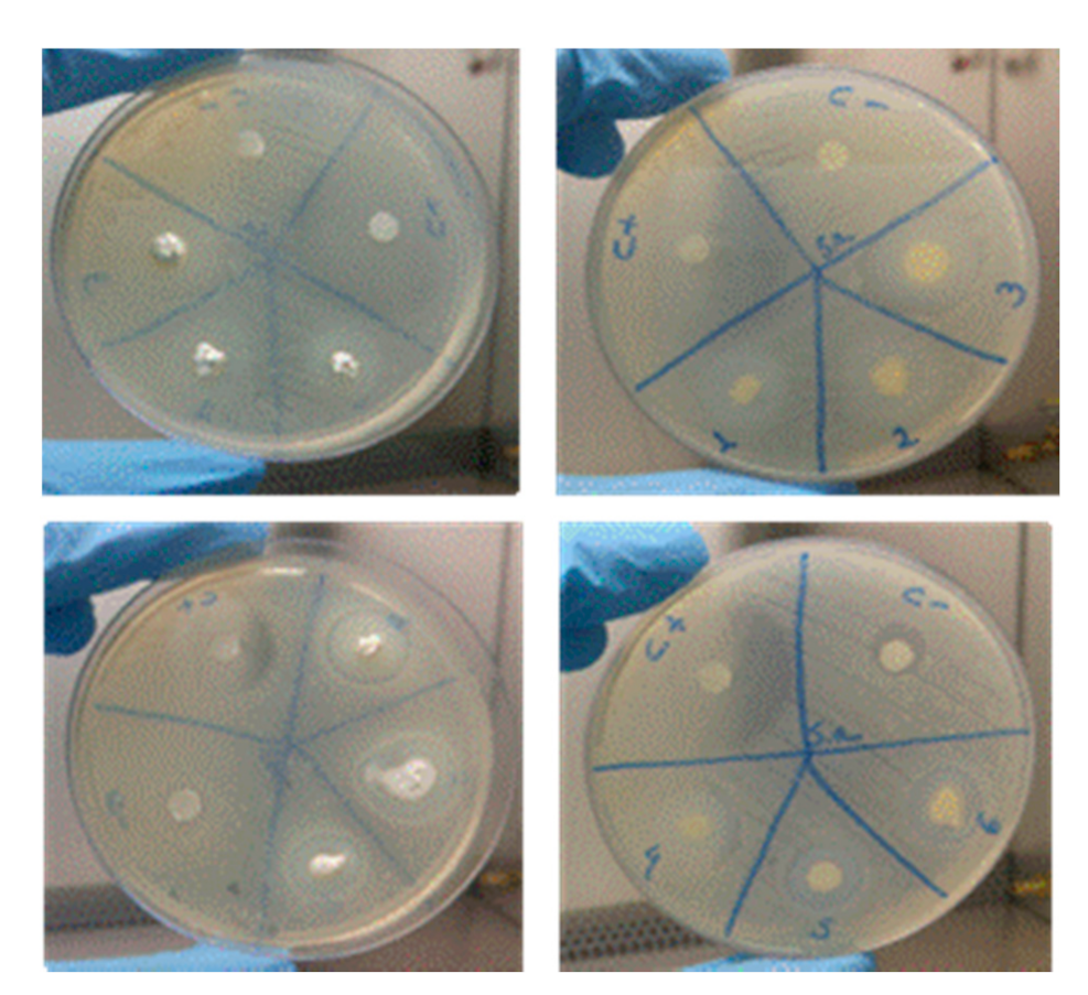 Materials 14 00488 g006 Materials 14 00488 g006