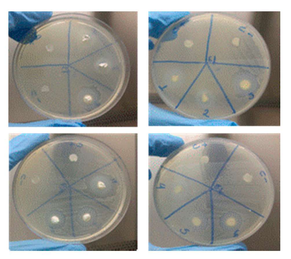 Materials 14 00488 g007 Materials 14 00488 g007