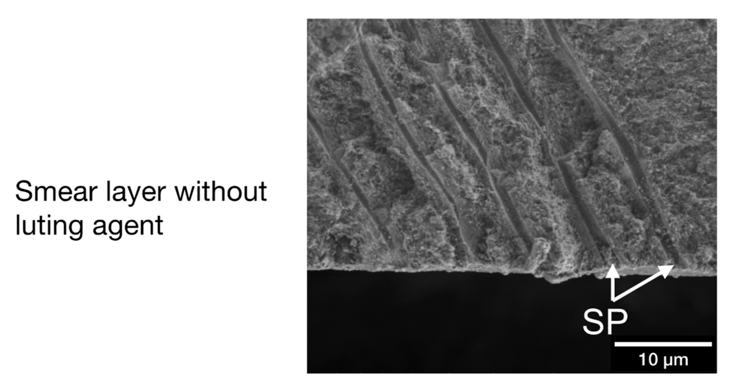 Materials 14 00492 g004