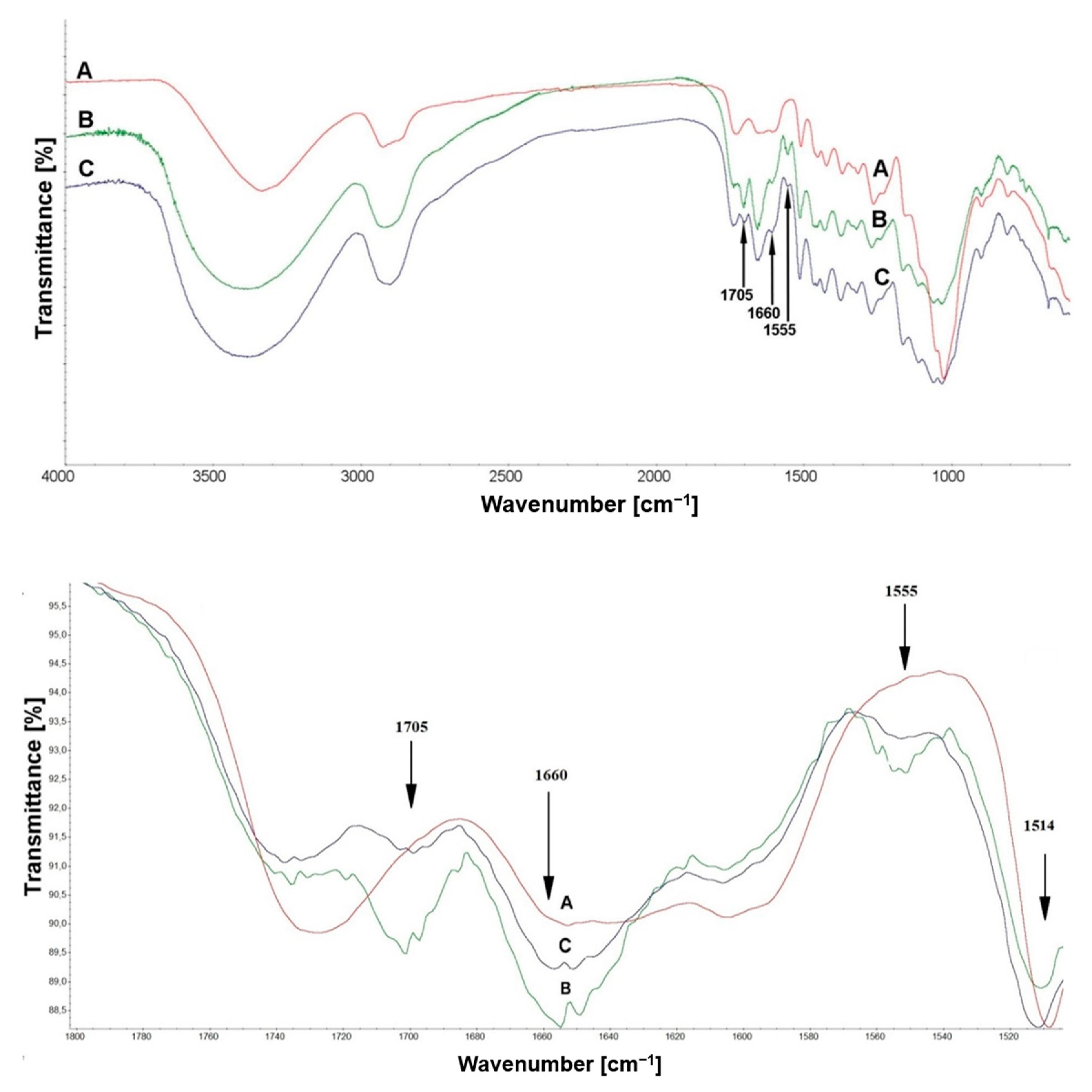 Materials 14 00497 g004 Materials 14 00497 g004