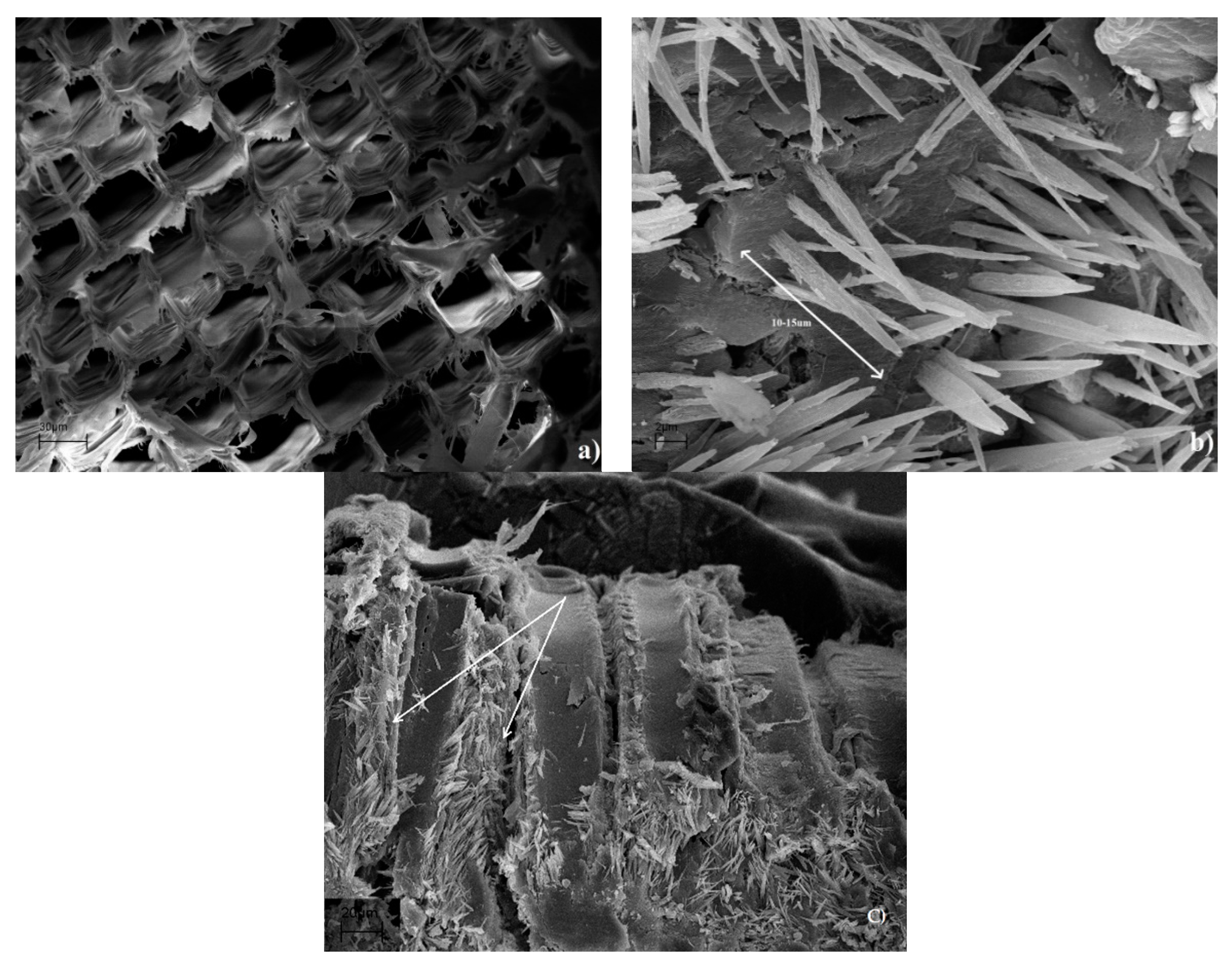 Materials 14 00497 g006 Materials 14 00497 g006