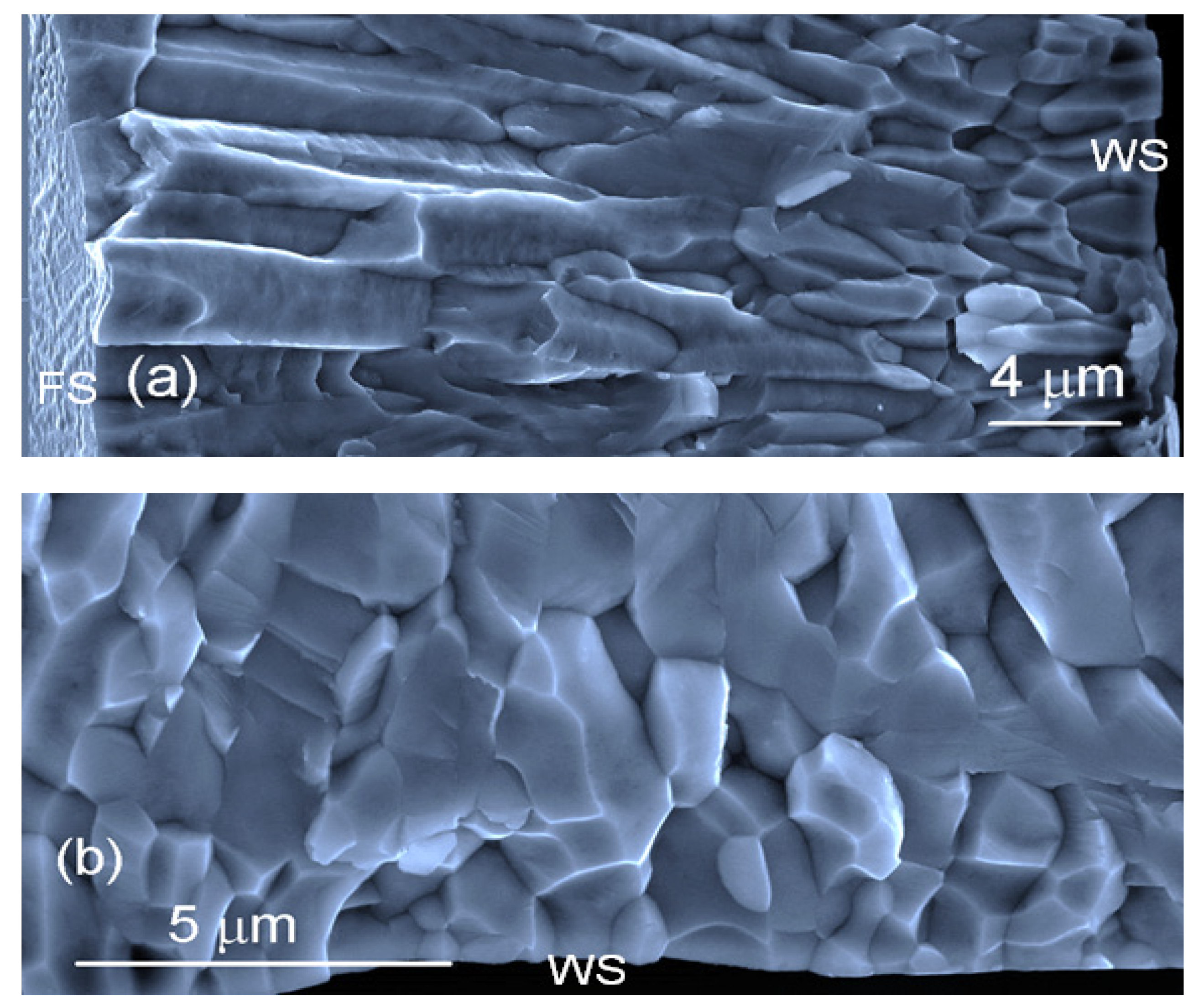 Materials 14 00501 g003 Materials 14 00501 g003