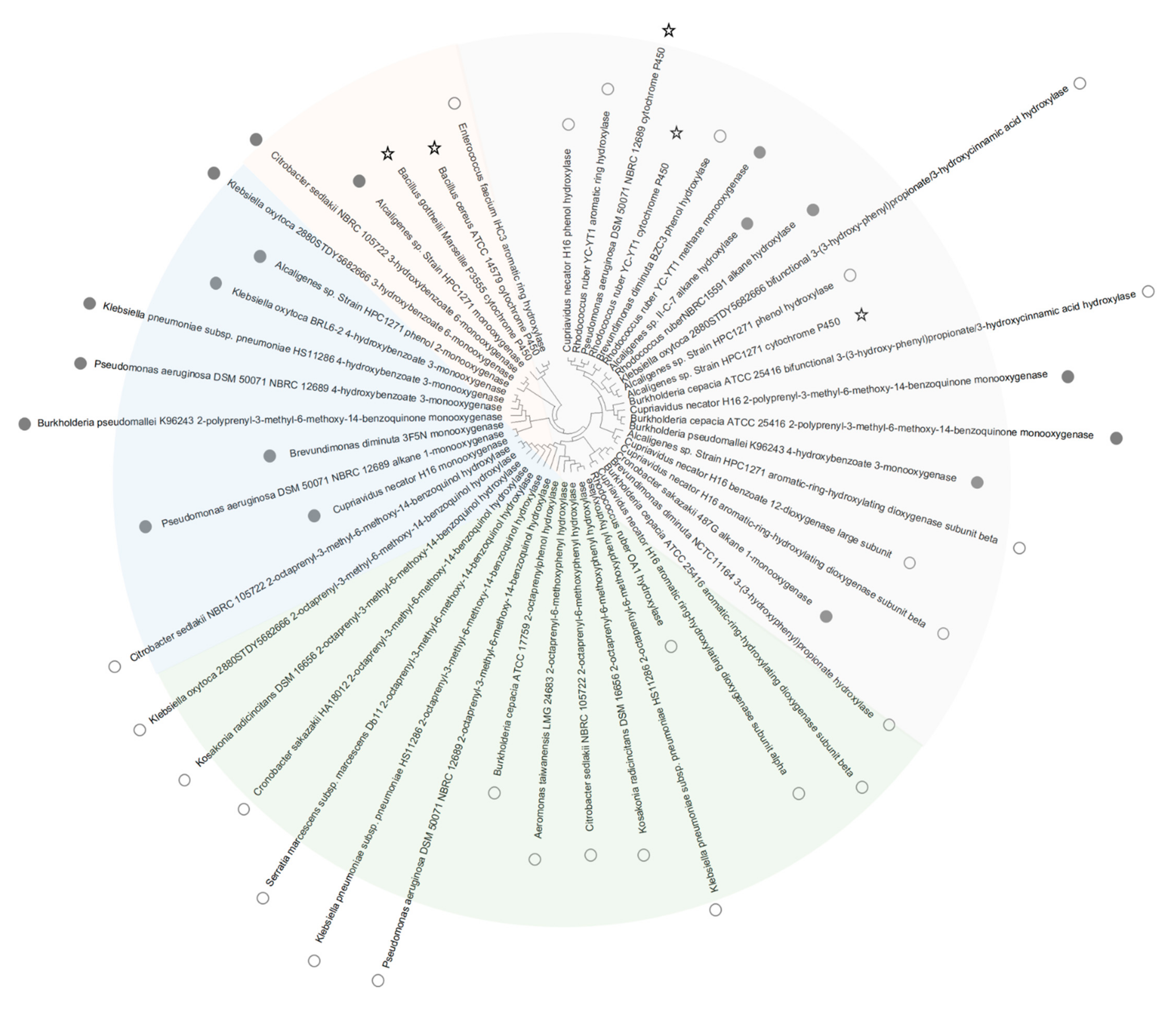 Materials 14 00503 g003 Materials 14 00503 g003
