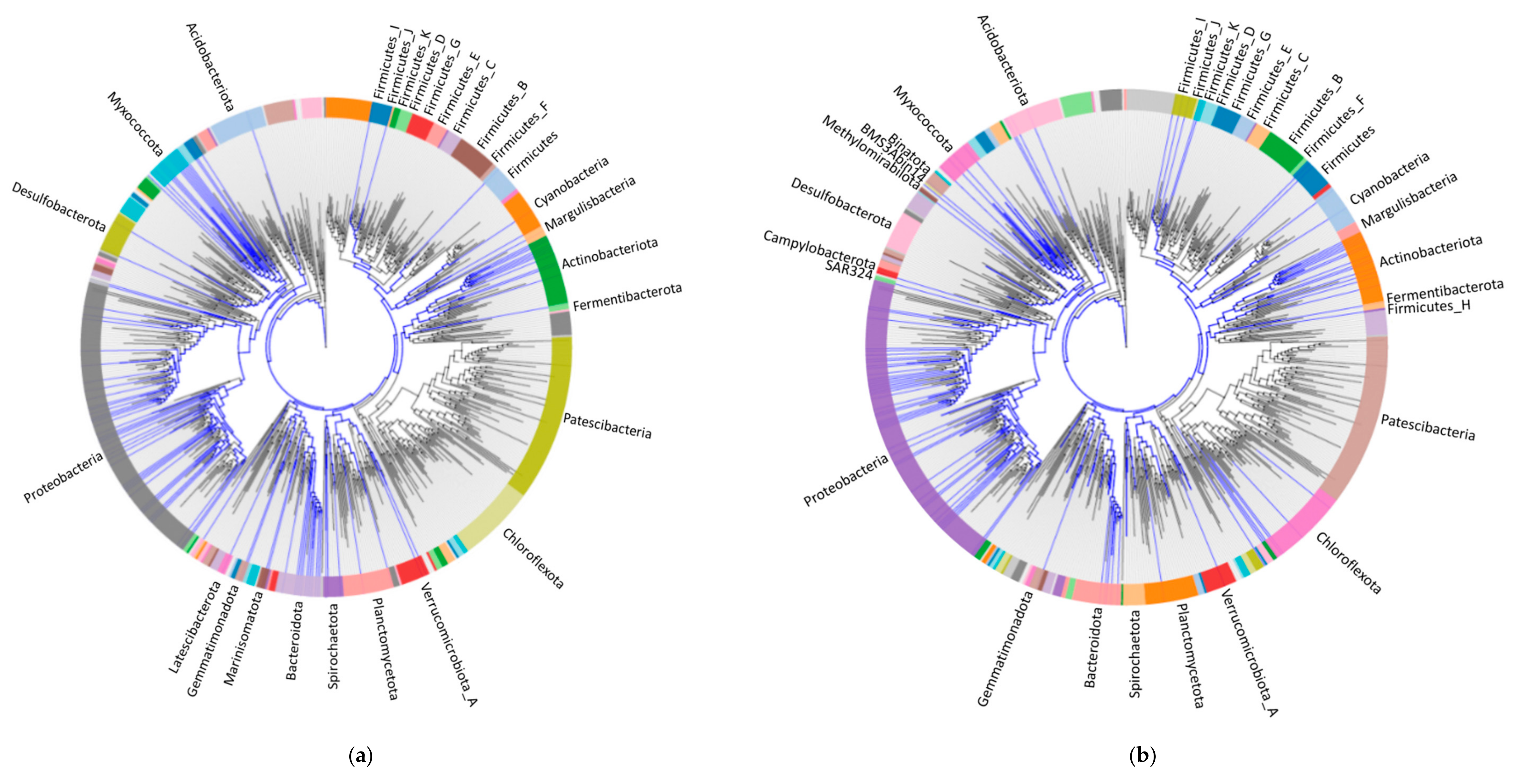 Materials 14 00503 g004a Materials 14 00503 g004a