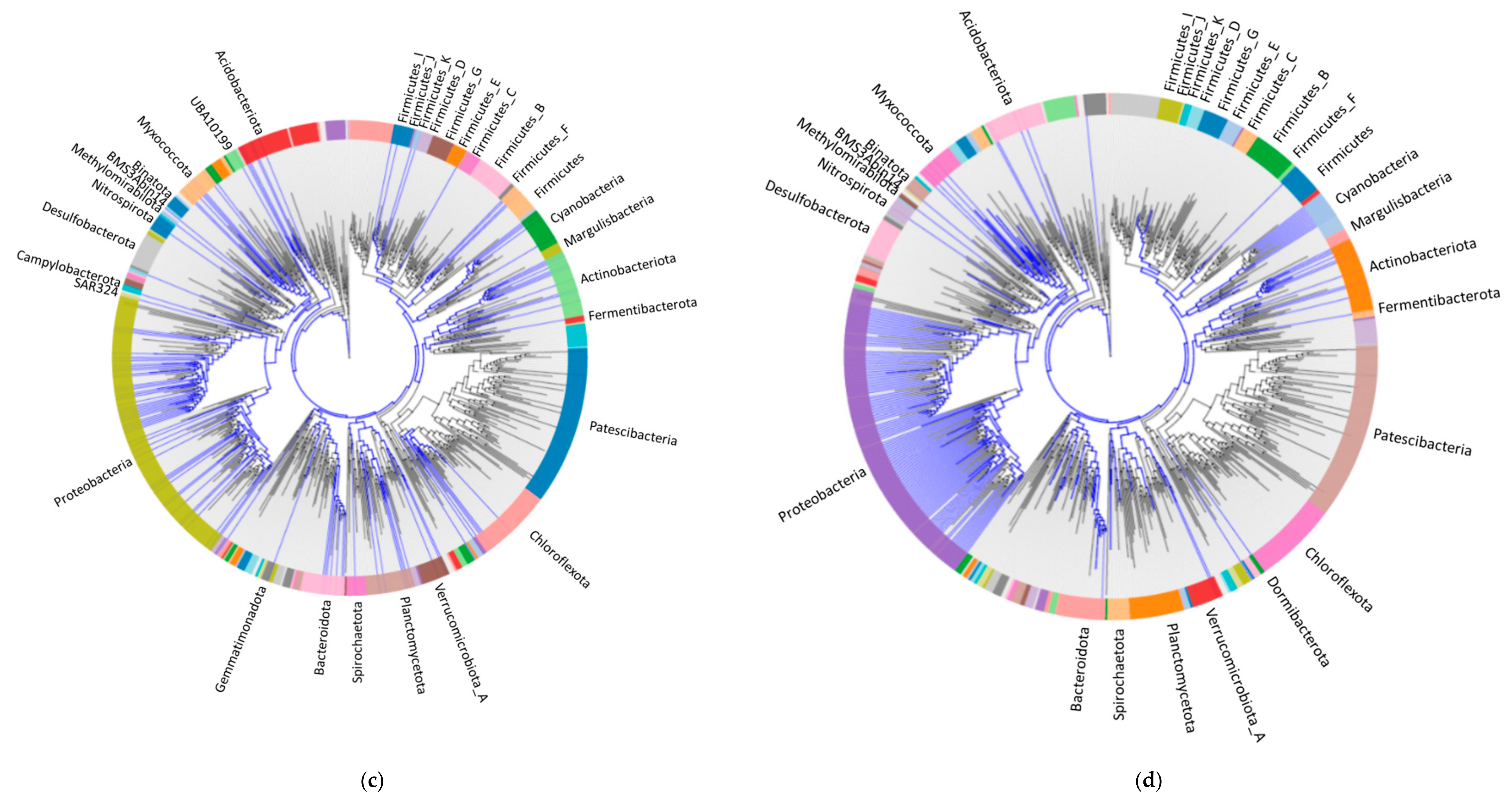 Materials 14 00503 g004b Materials 14 00503 g004b