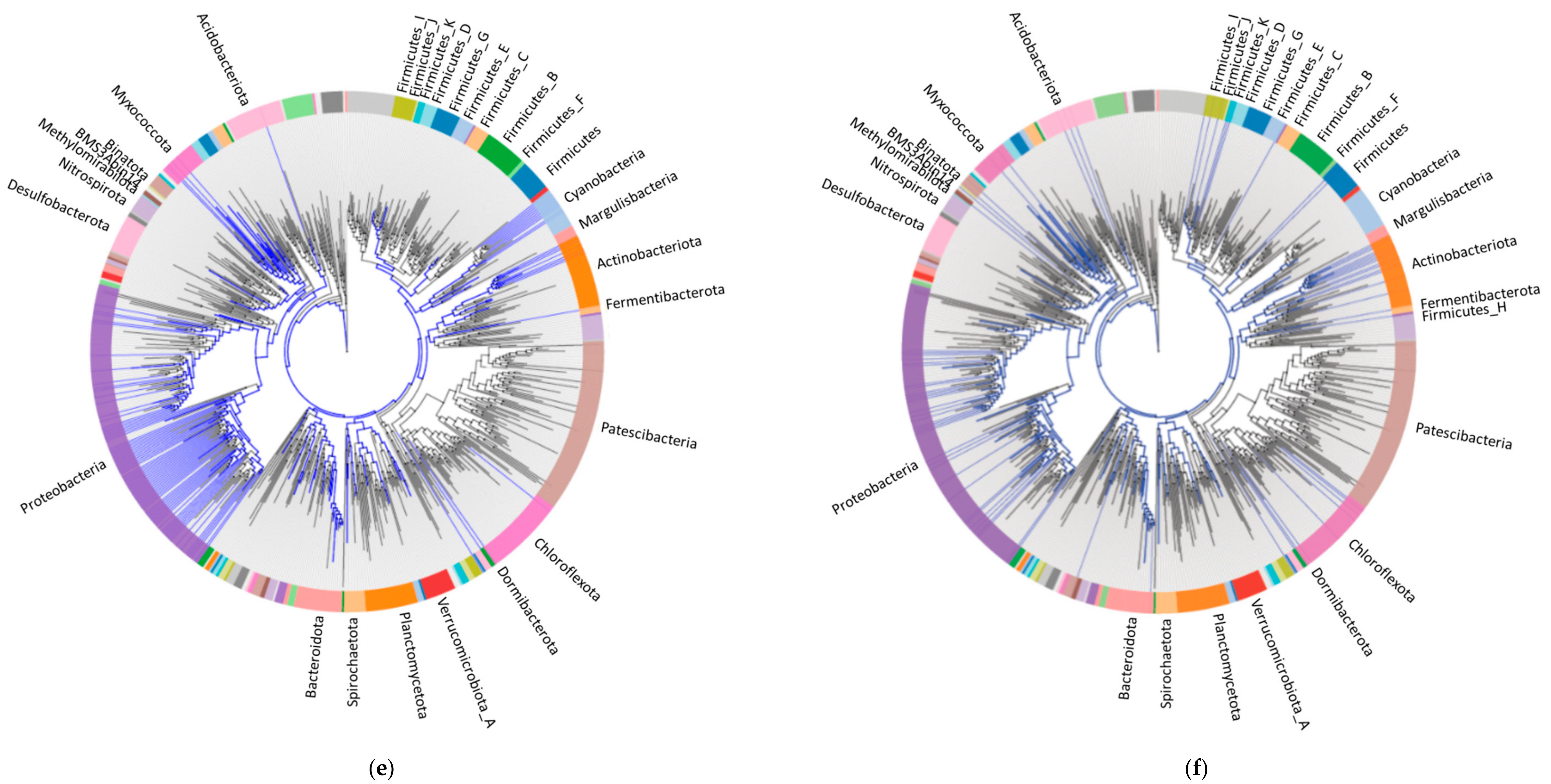 Materials 14 00503 g004c Materials 14 00503 g004c