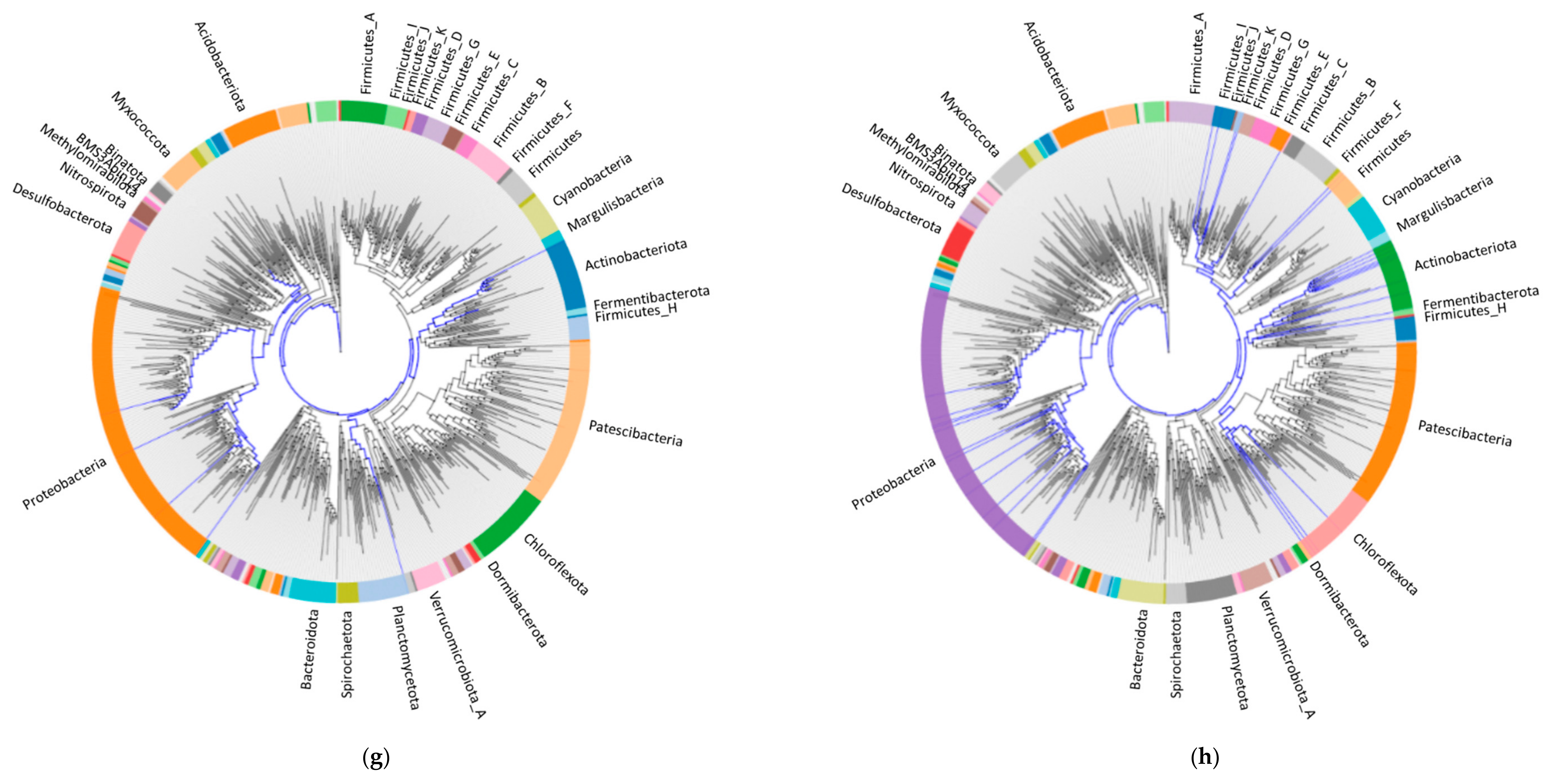 Materials 14 00503 g004d Materials 14 00503 g004d