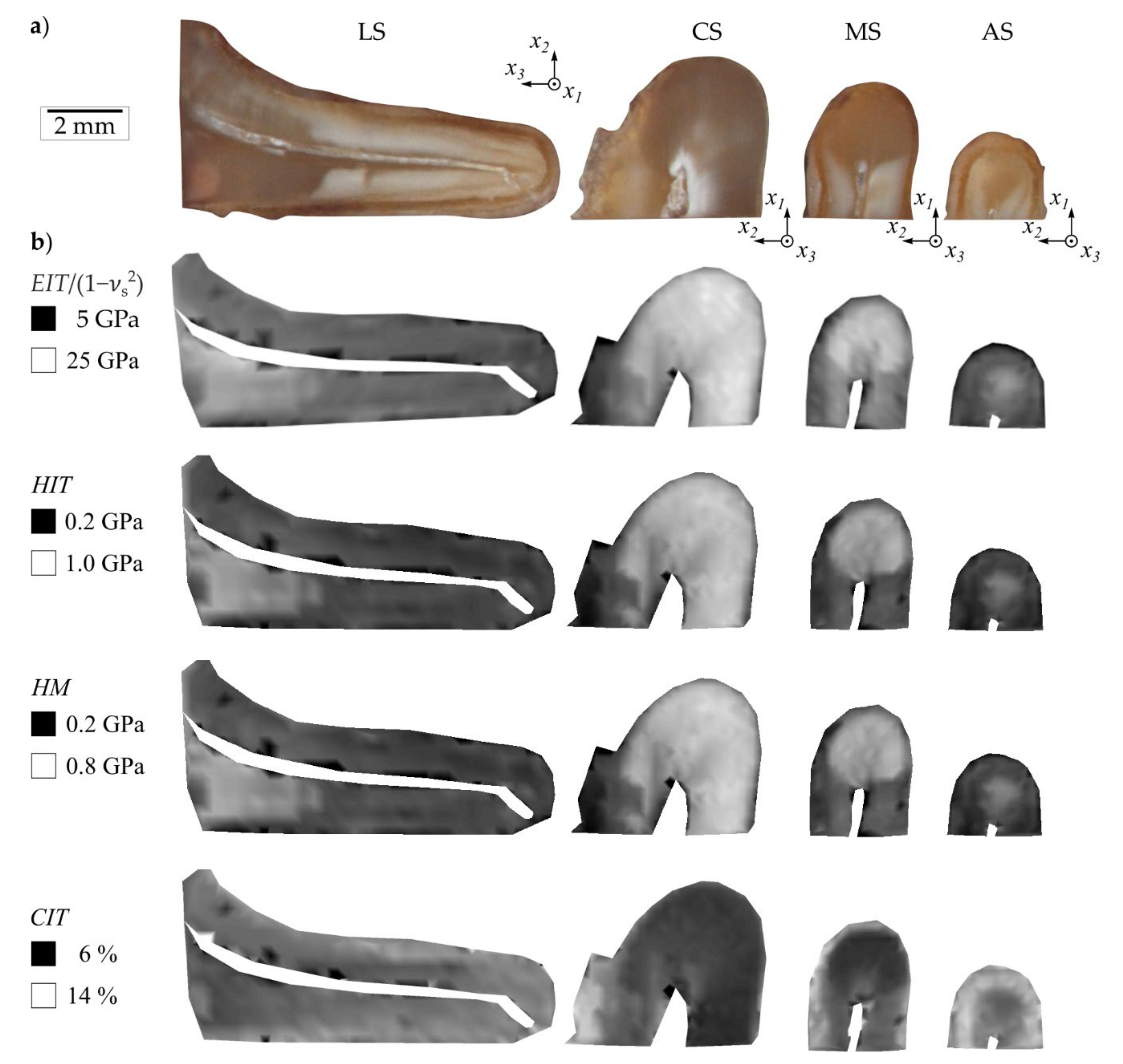 Materials 14 00505 g006 Materials 14 00505 g006