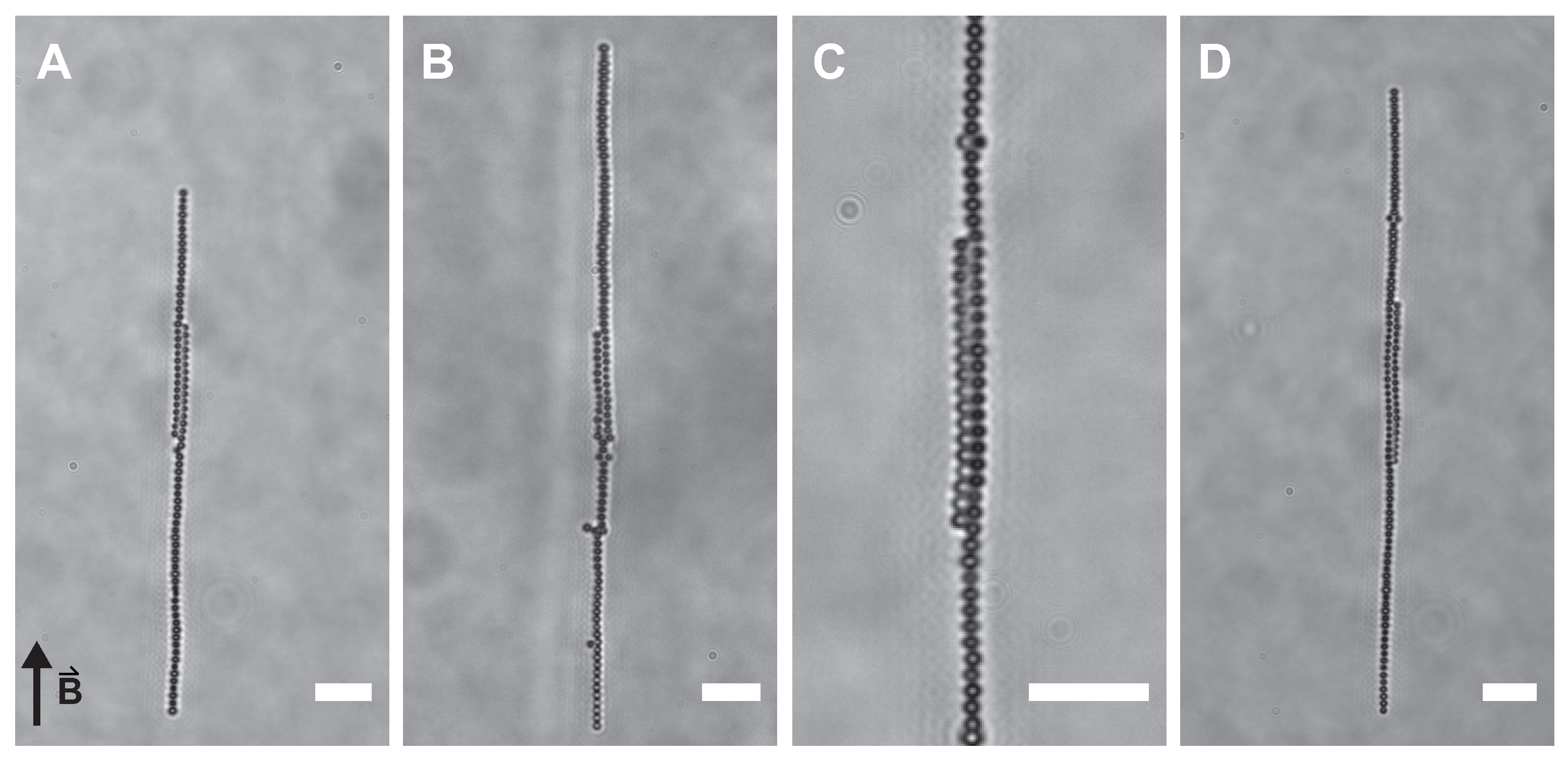 Materials 14 00507 g003 Materials 14 00507 g003