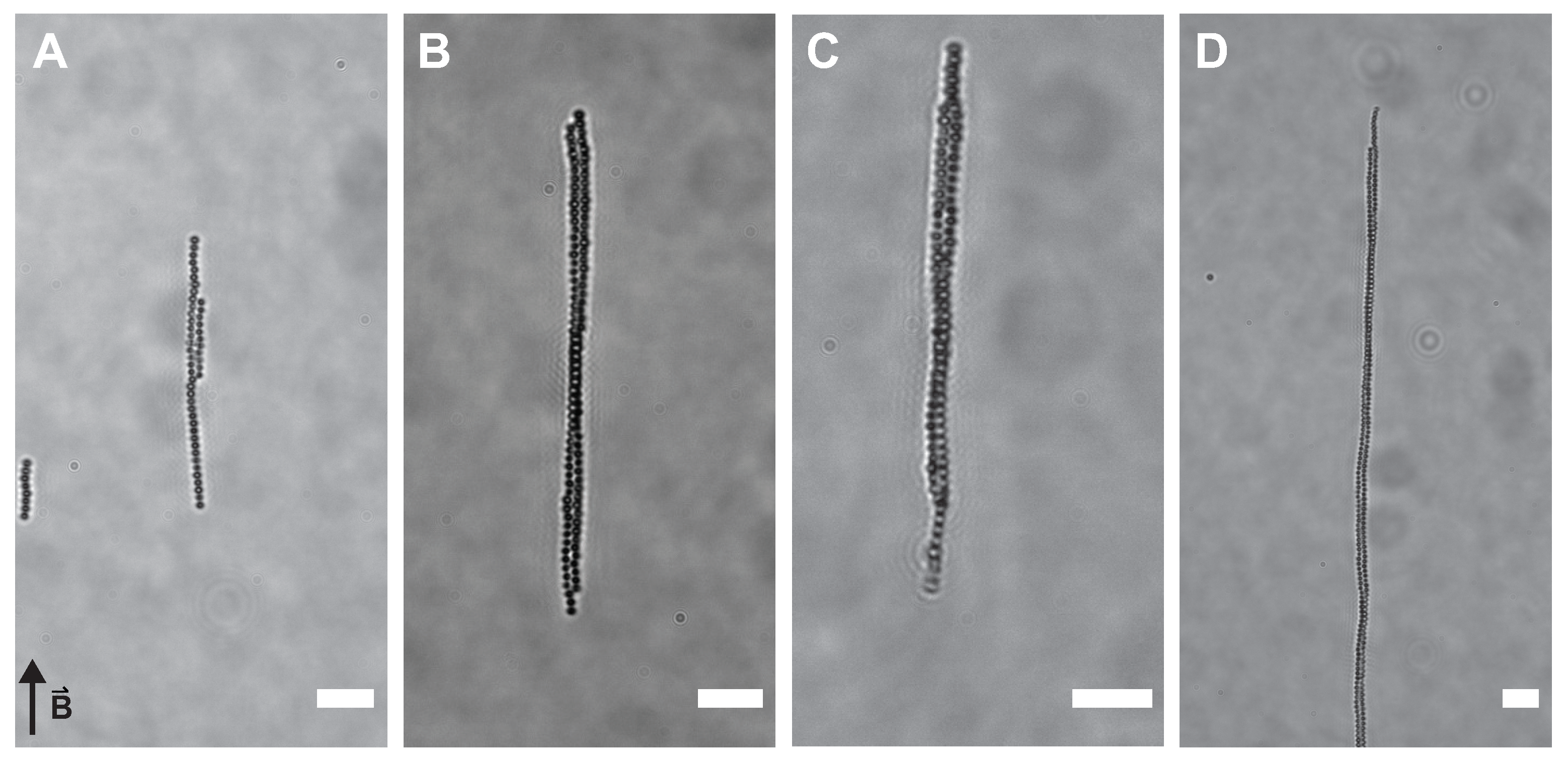 Materials 14 00507 g004 Materials 14 00507 g004