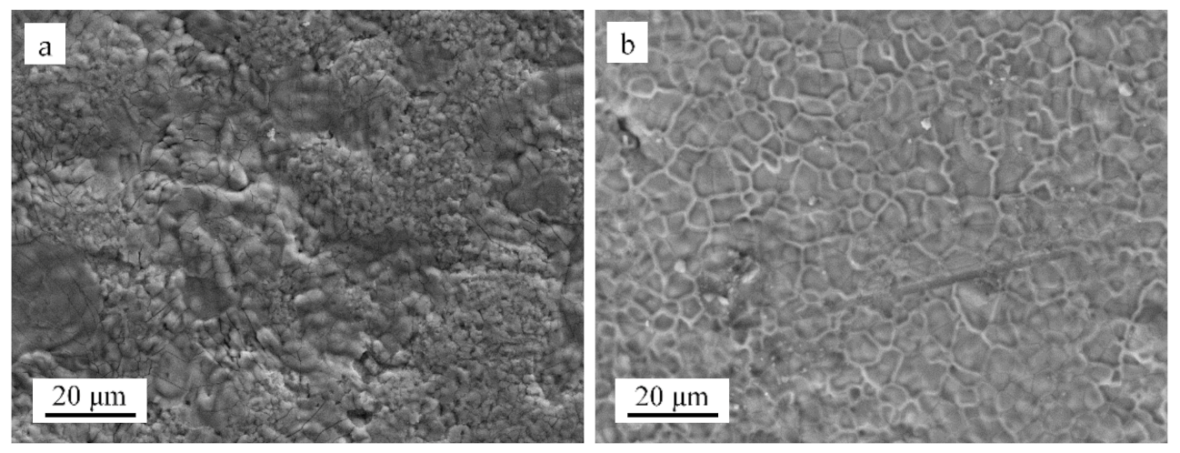 Materials 14 00526 g002 550