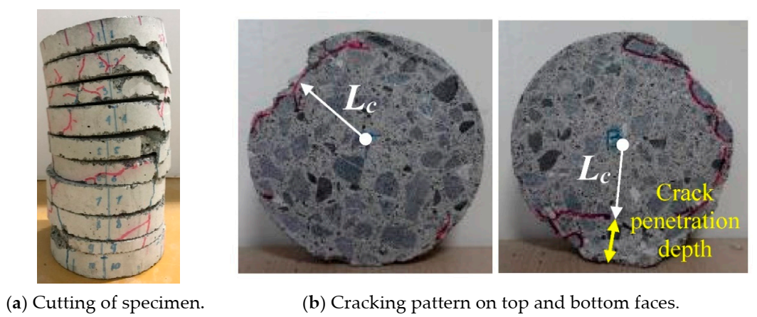 Materials 14 00527 g004 Materials 14 00527 g004