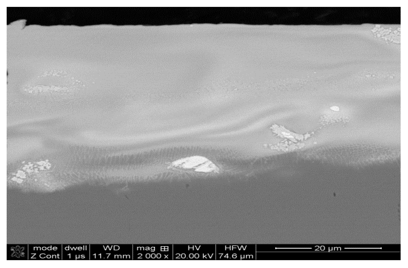 Materials 14 00538 g006 Materials 14 00538 g006