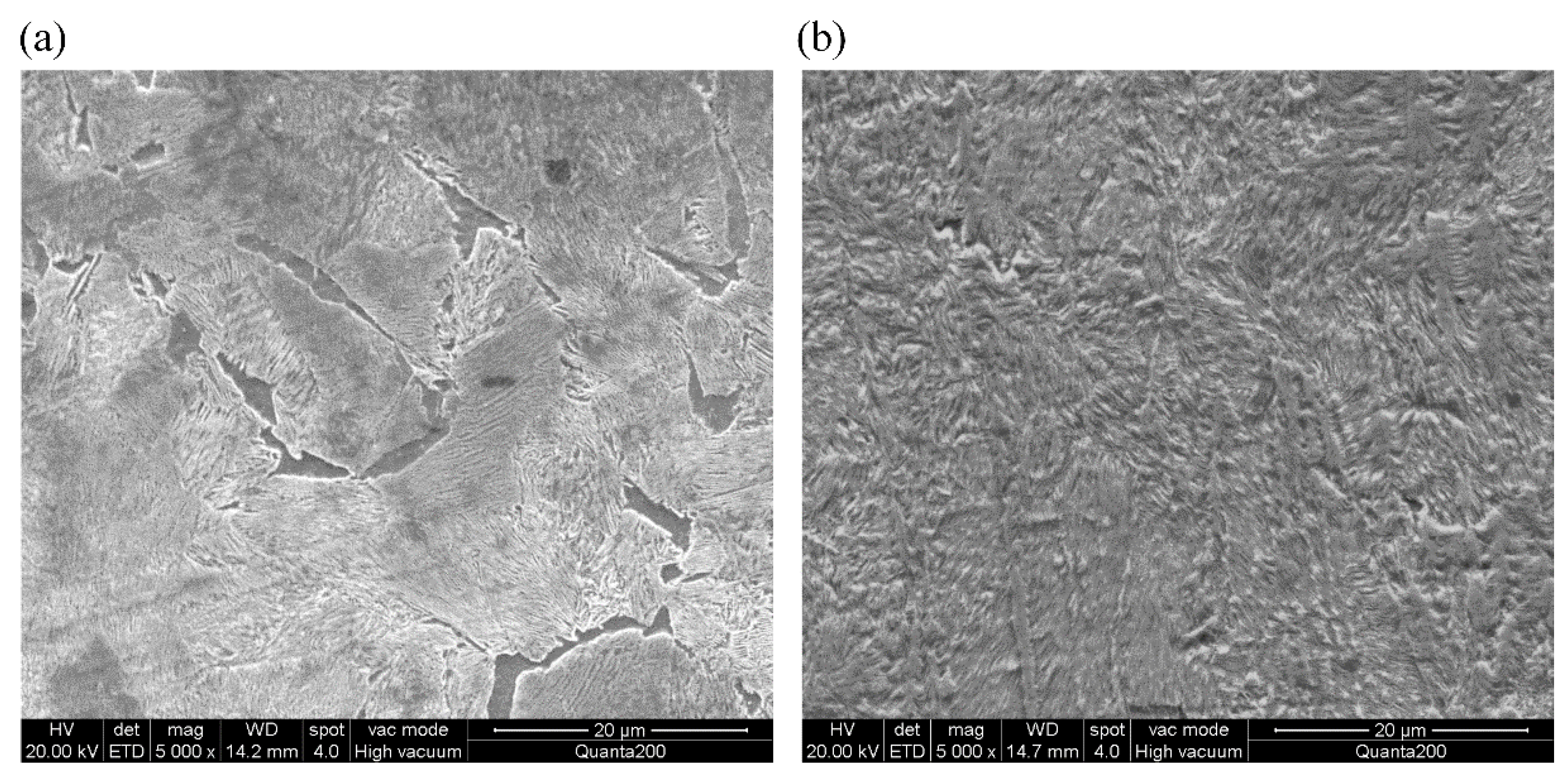 Materials 14 00540 g001 Materials 14 00540 g001