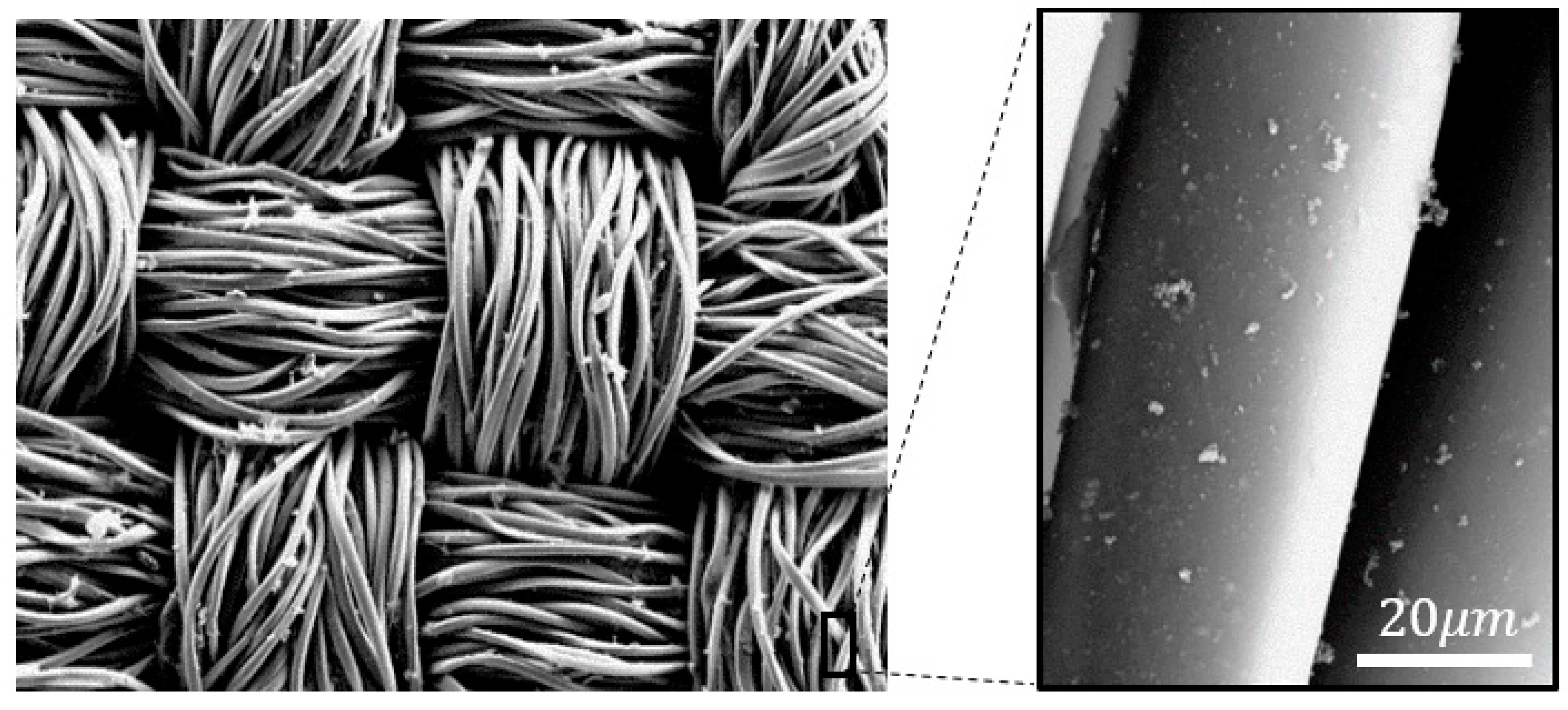 Materials 14 00550 g006