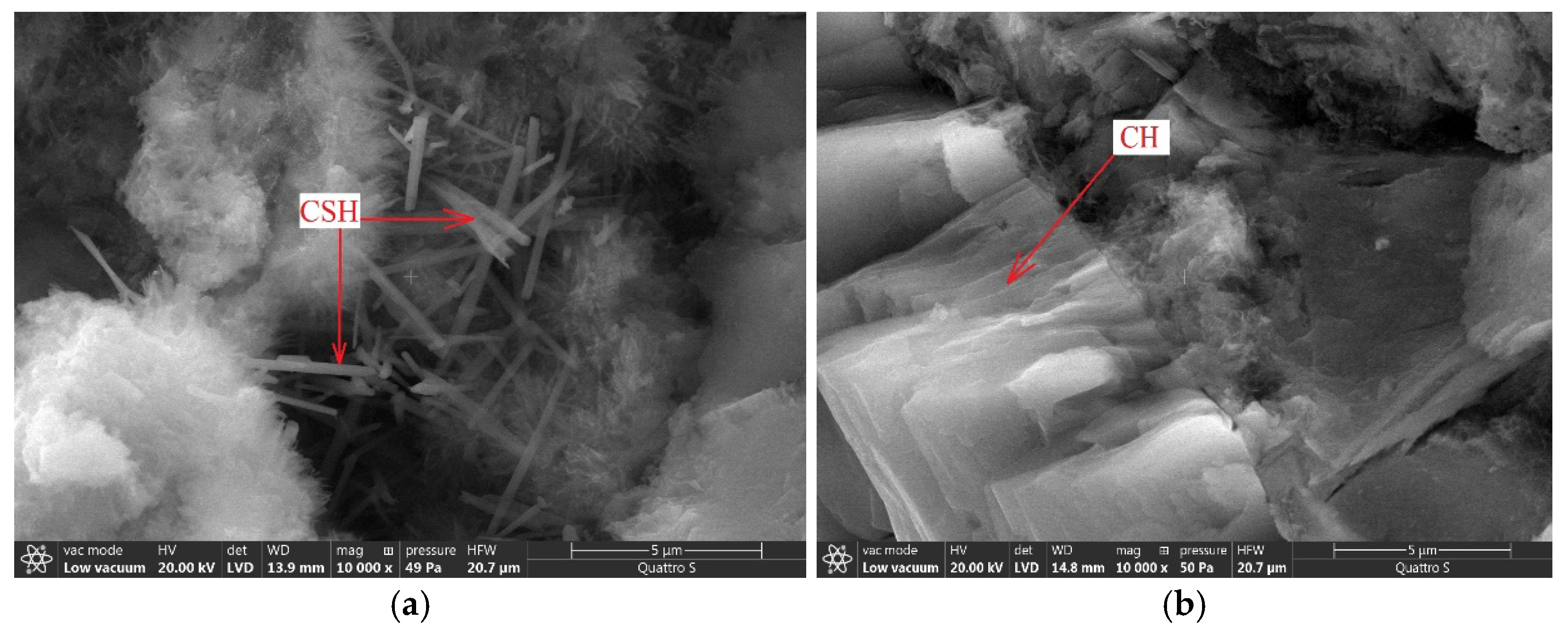 Materials 14 00557 g007 Materials 14 00557 g007