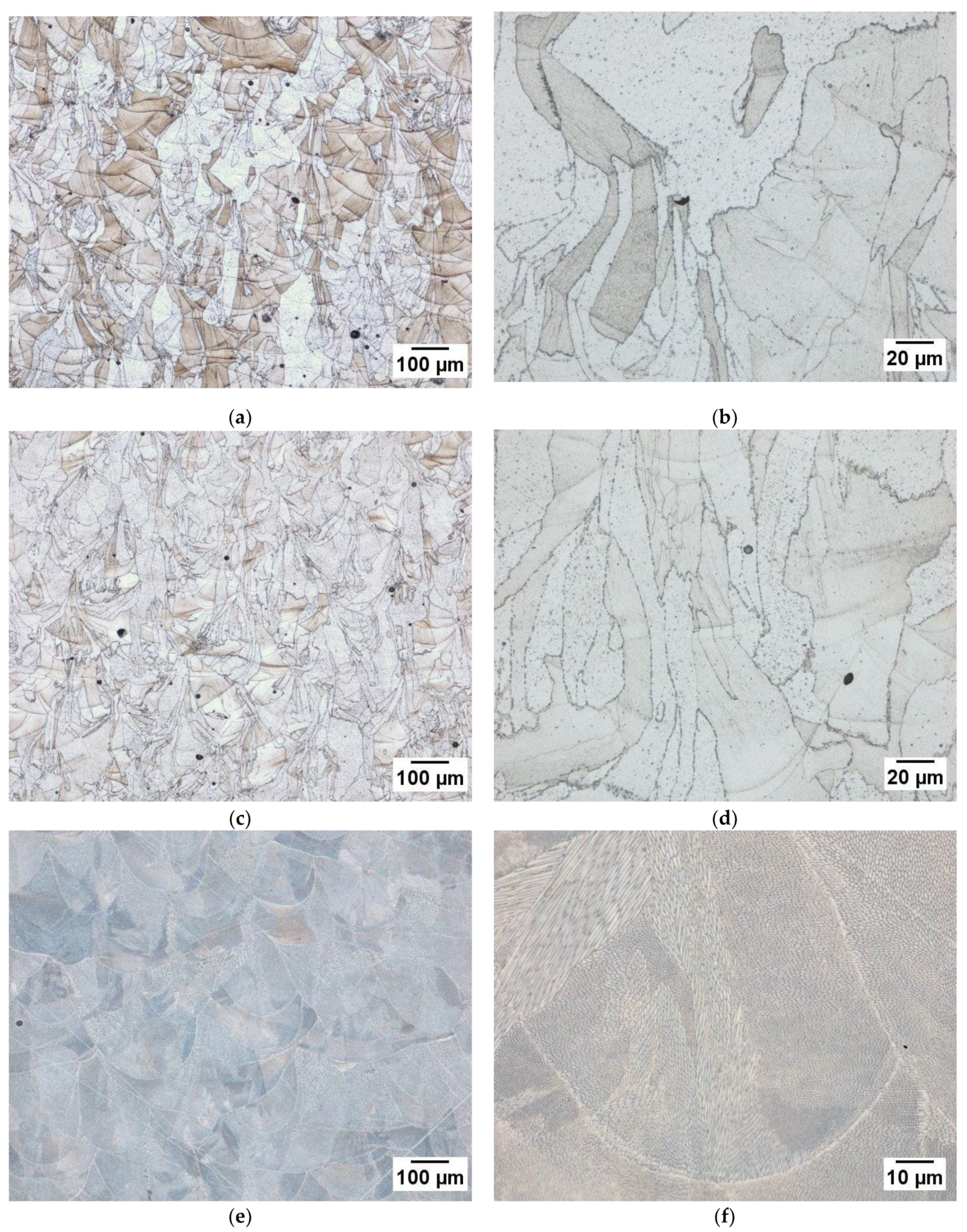 Materials 14 00560 g006