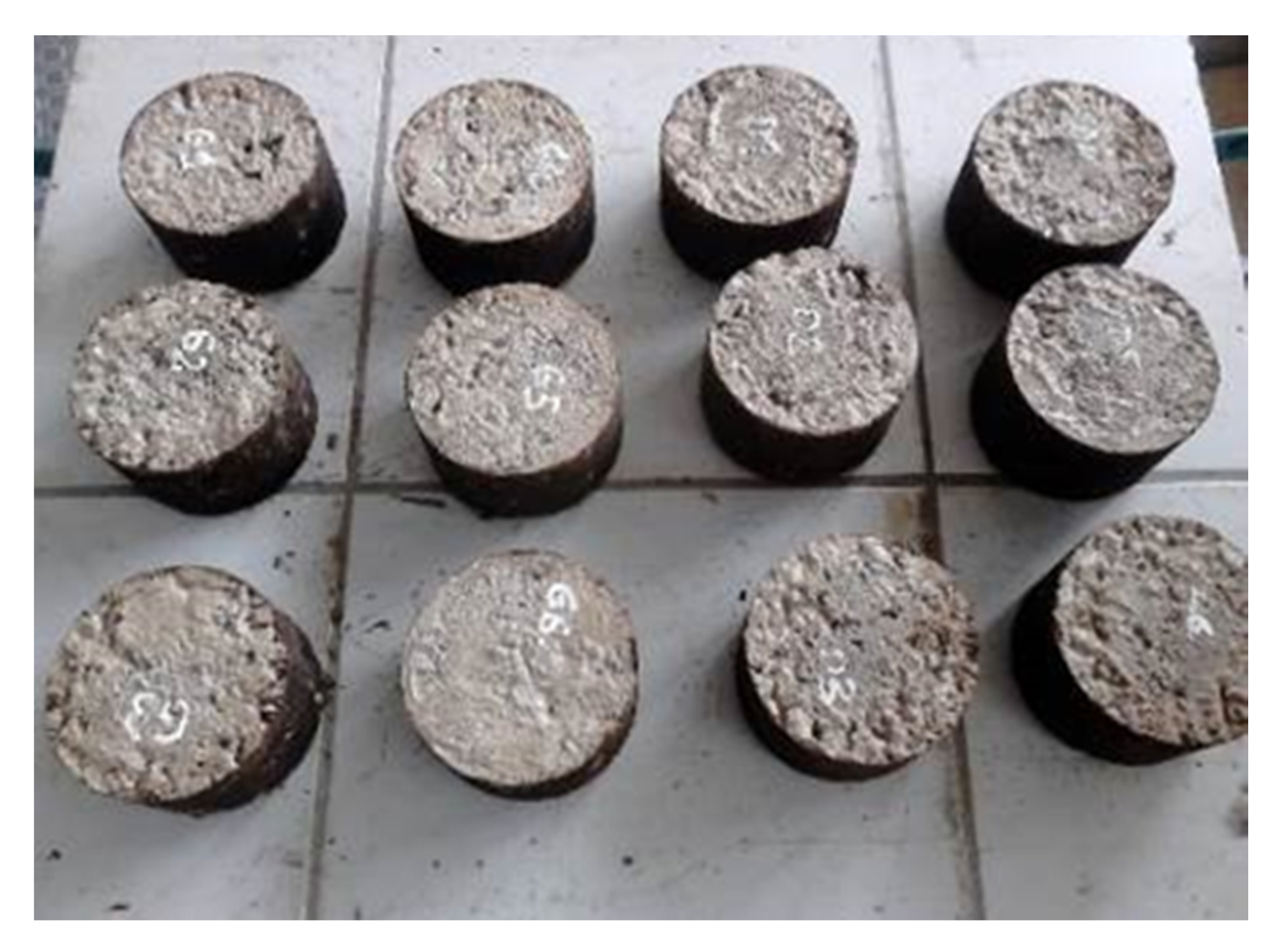 Materials 14 00563 g004 Materials 14 00563 g004