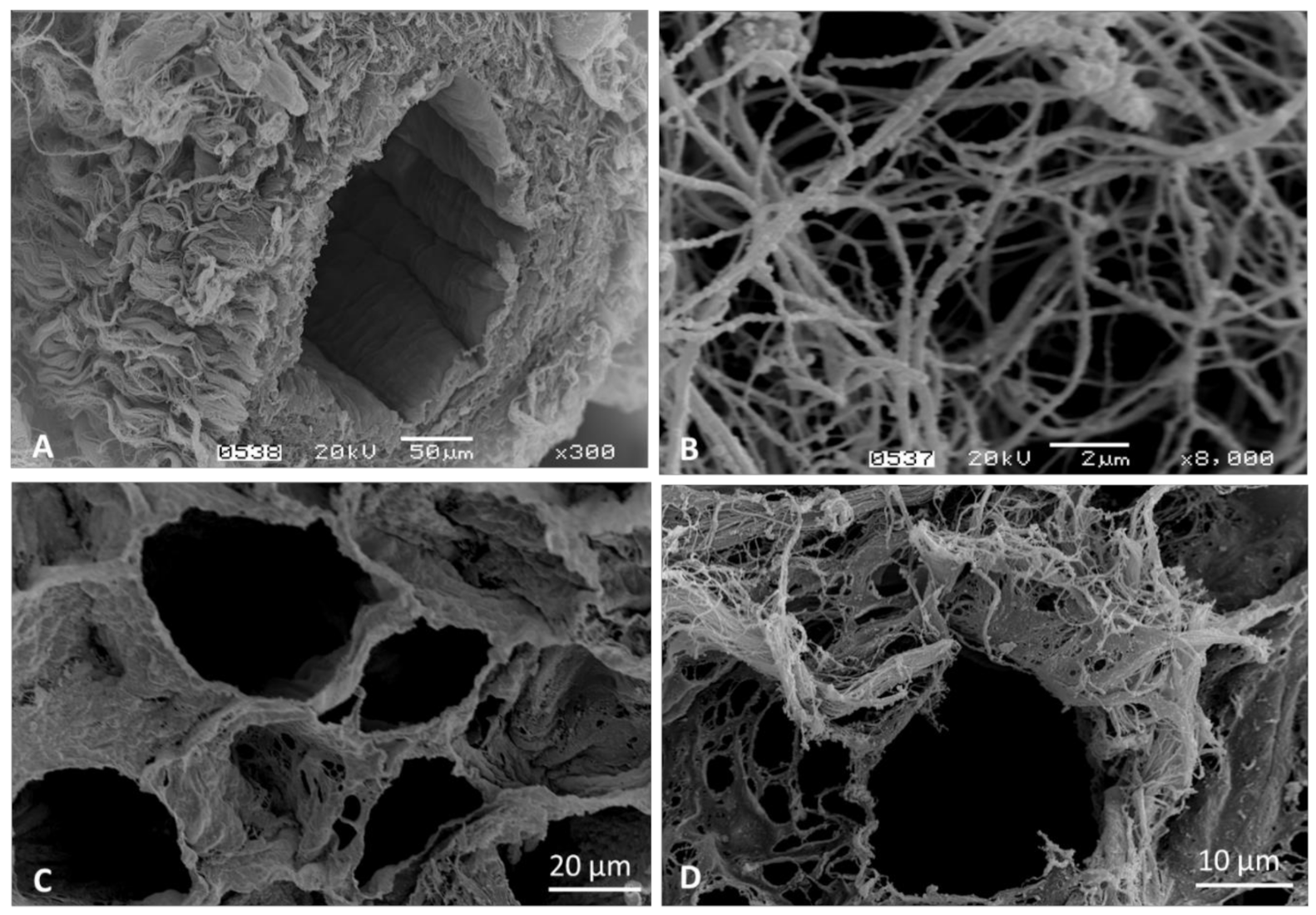 Materials 14 00569 g003 Materials 14 00569 g003