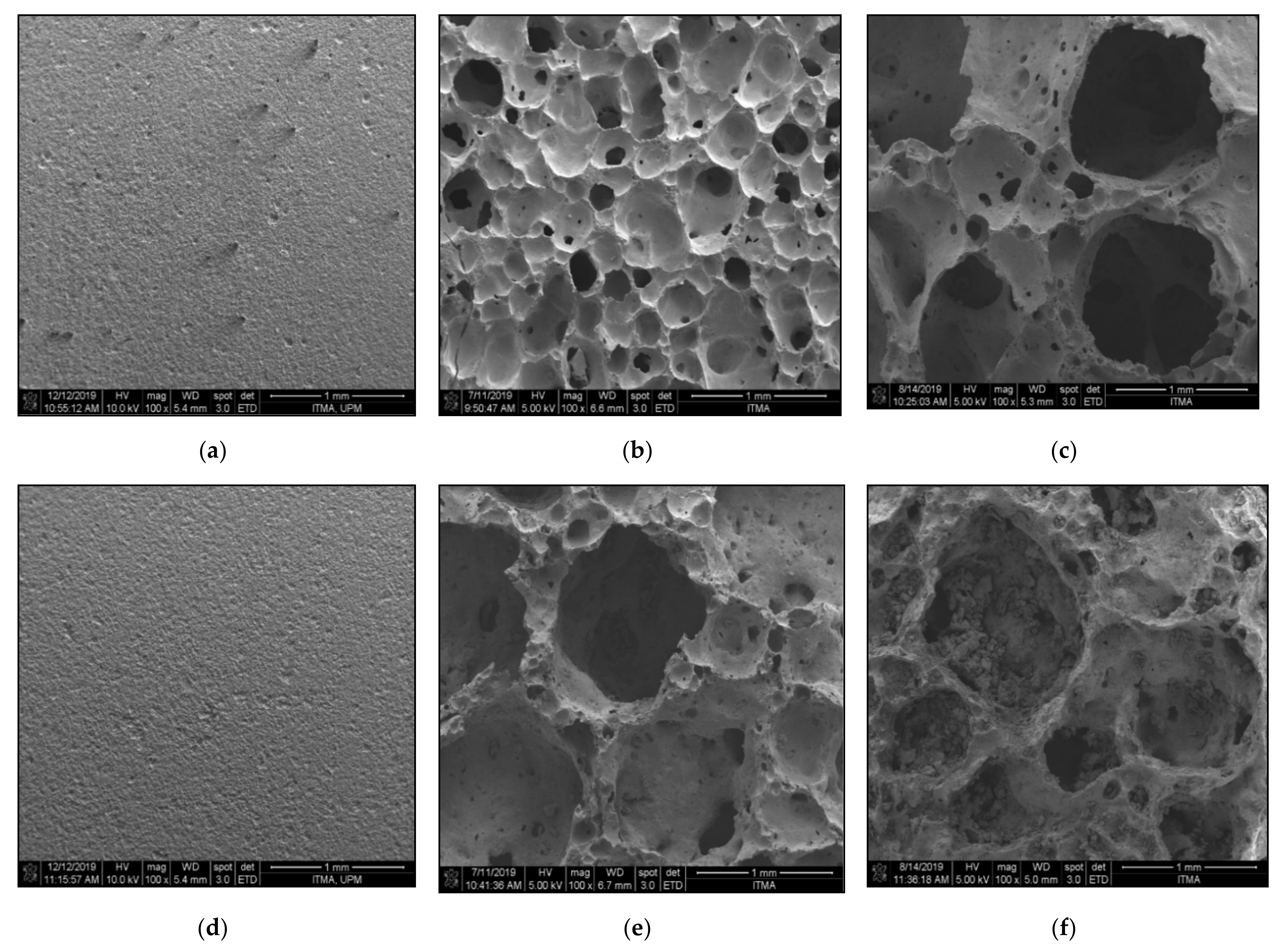 Materials 14 00570 g008 Materials 14 00570 g008