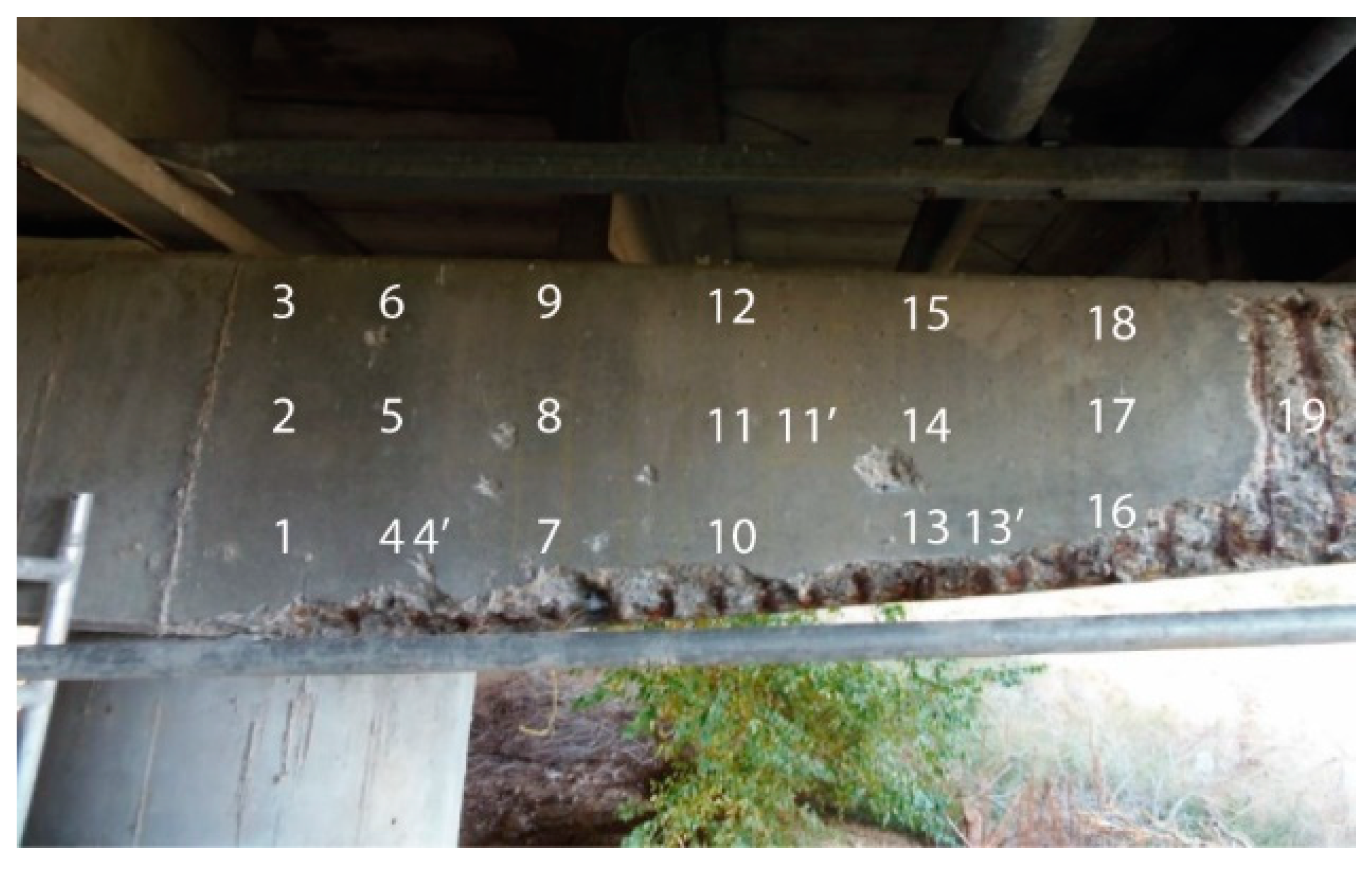 Materials 14 00571 g004 Materials 14 00571 g004