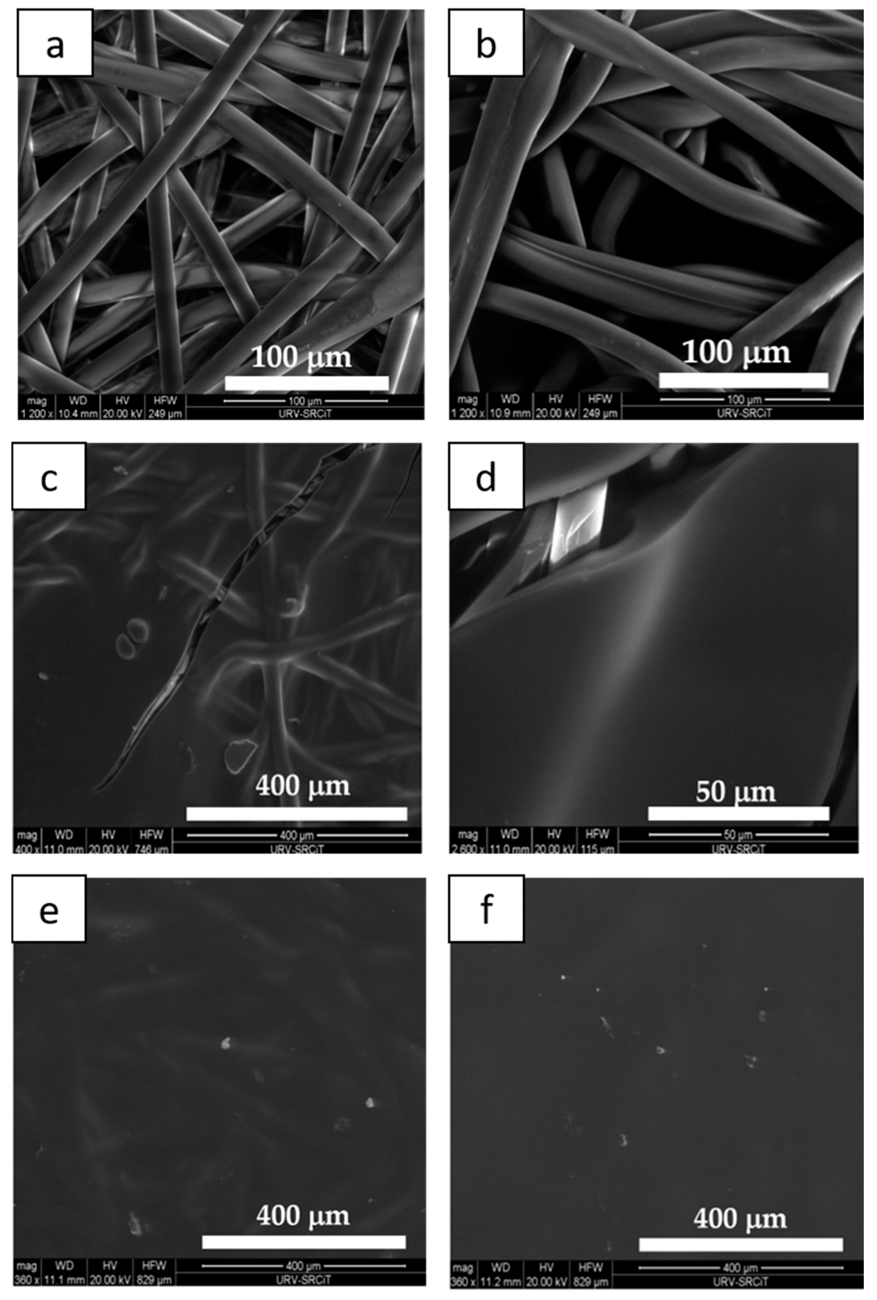 Materials 14 00582 g004
