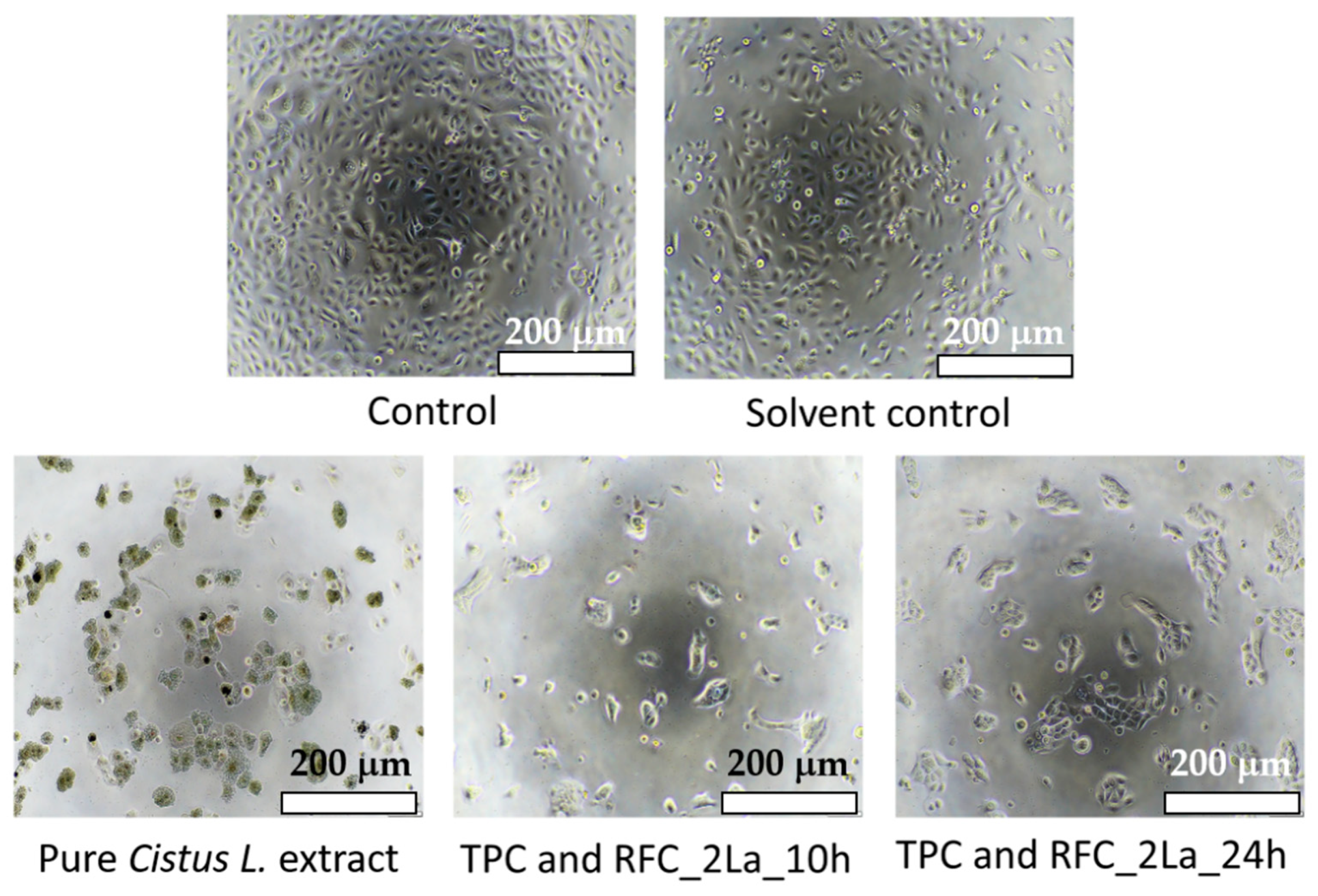 Materials 14 00582 g007