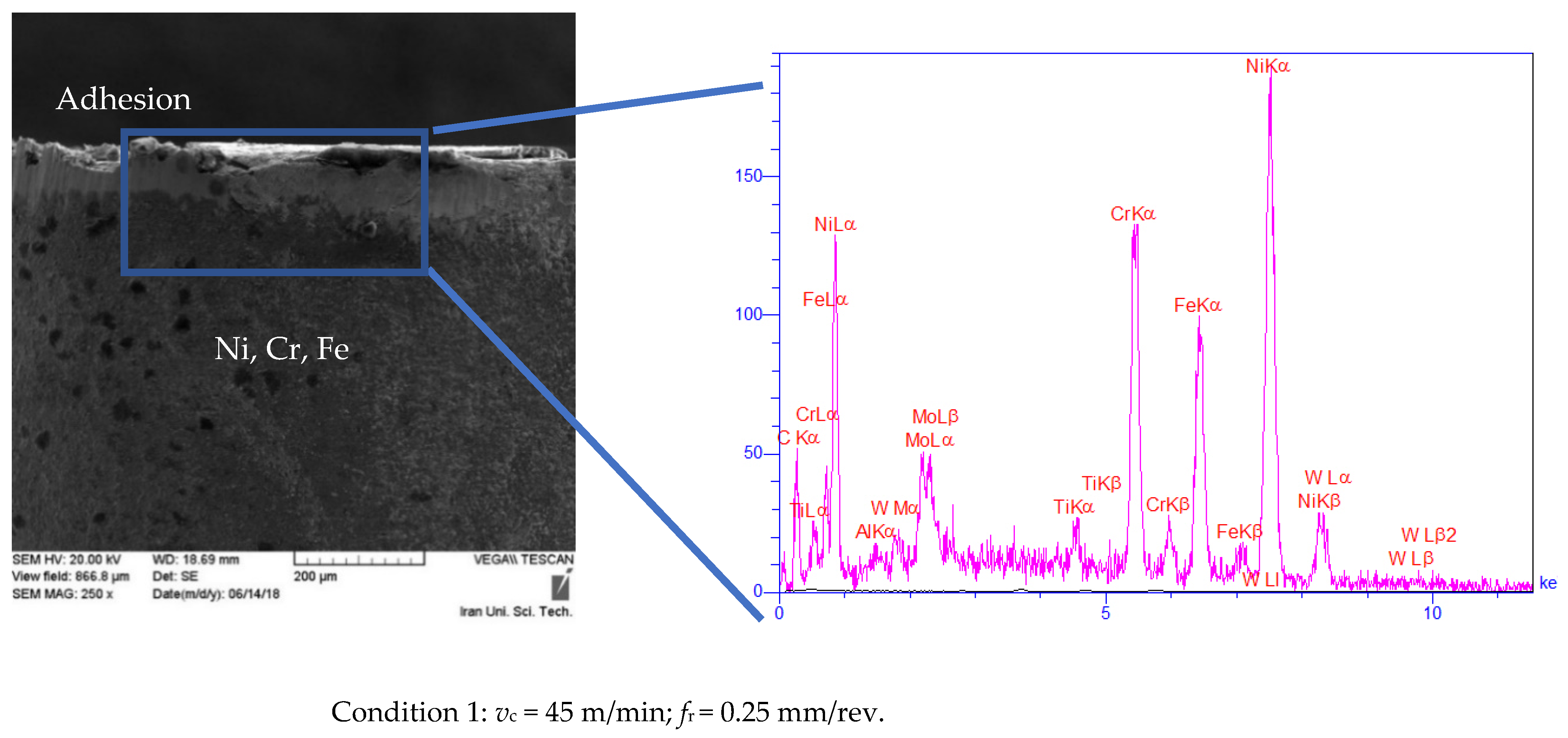 Materials 14 00592 g005a 550