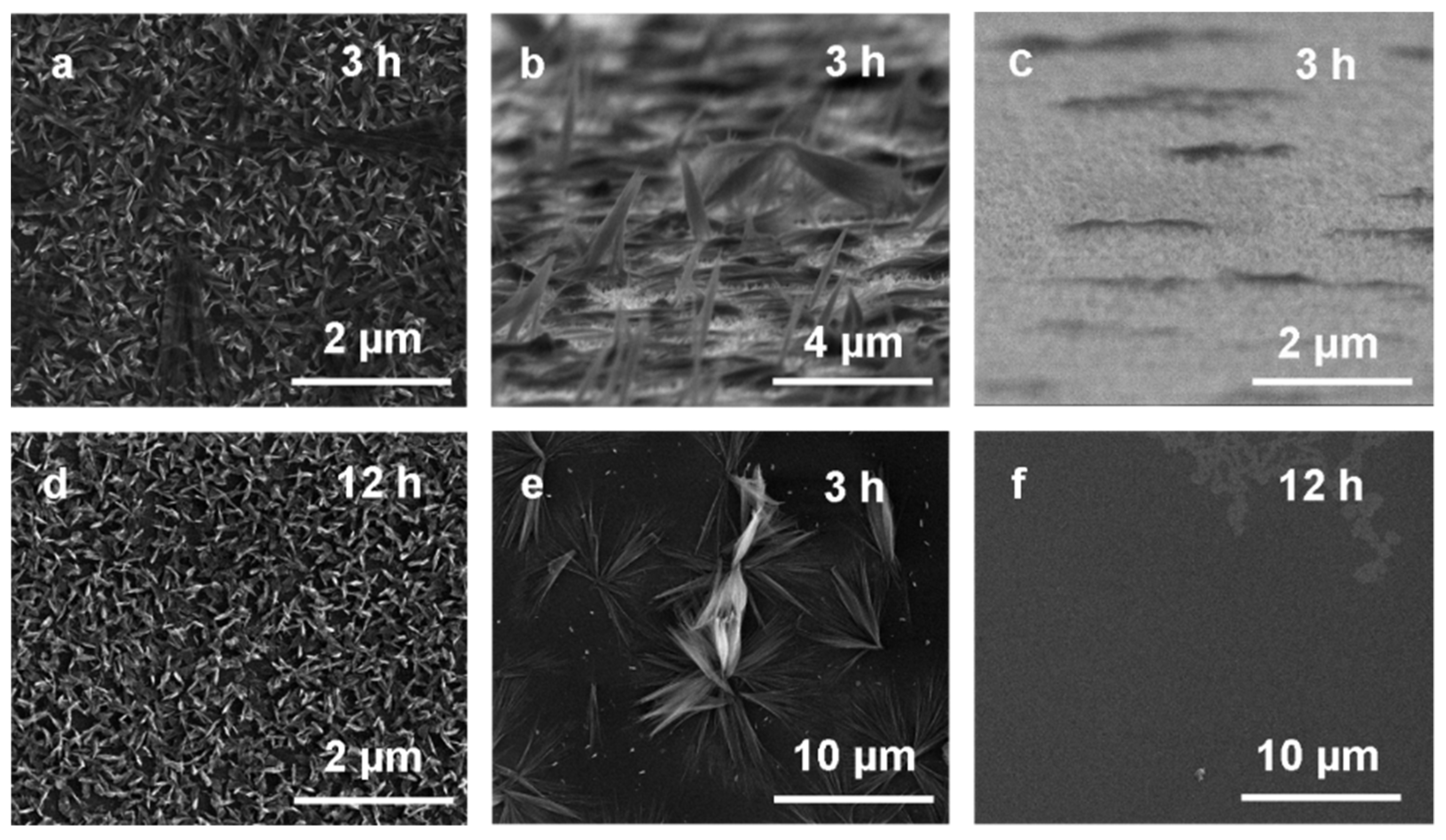 Materials 14 00603 g005 Materials 14 00603 g005