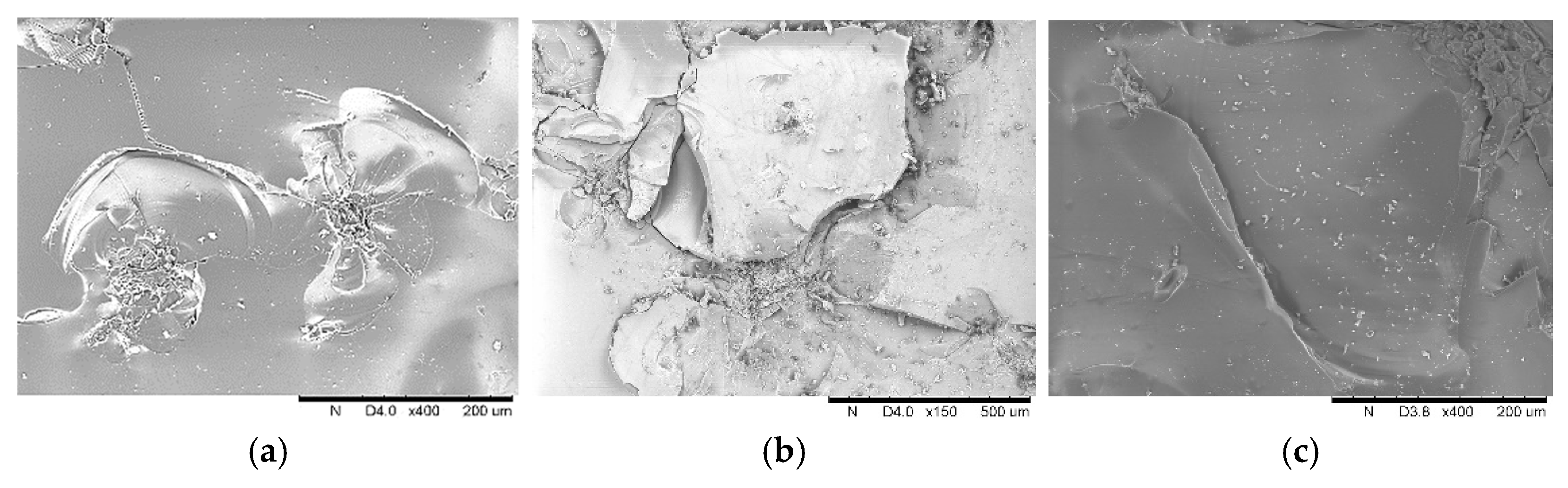 Materials 14 00607 g004 550