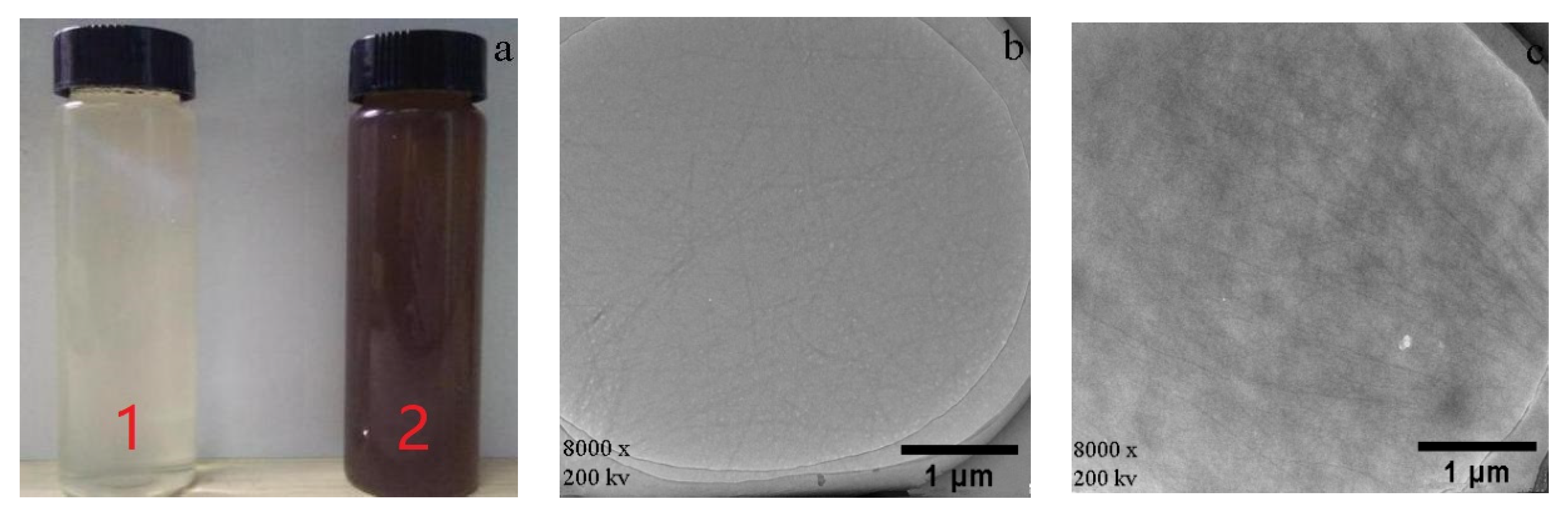 Materials 14 00608 g001