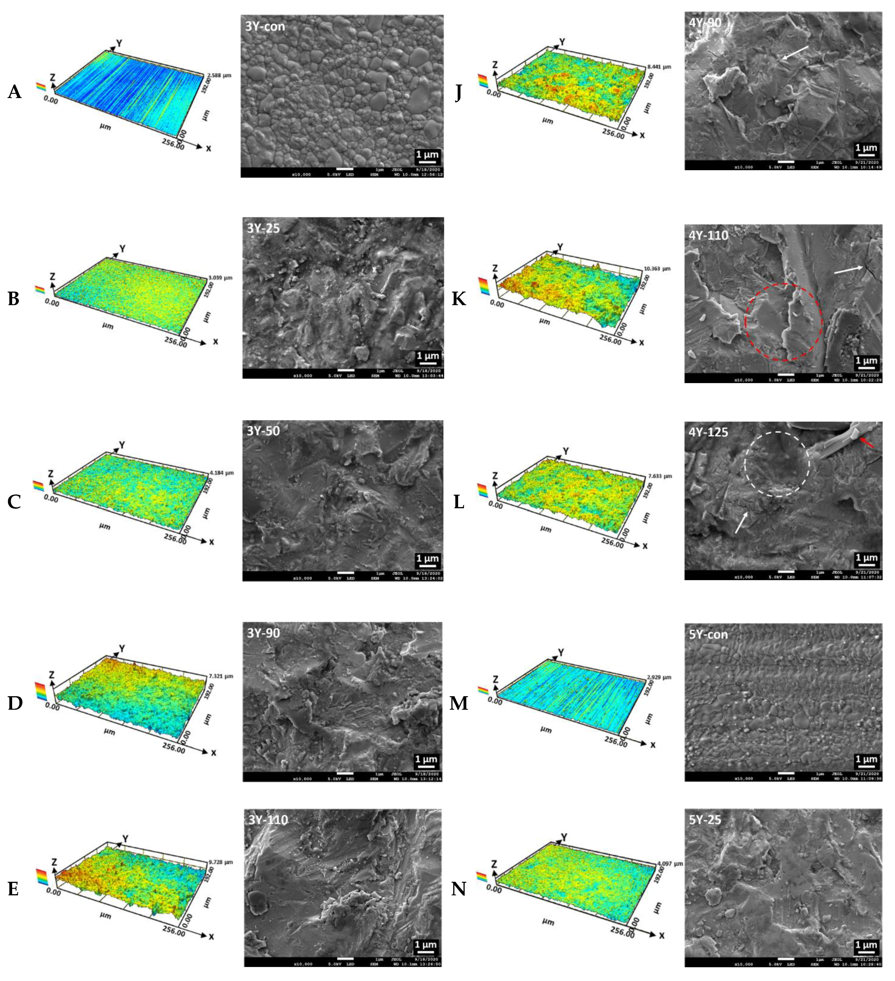 Materials 14 00610 g004a Materials 14 00610 g004a