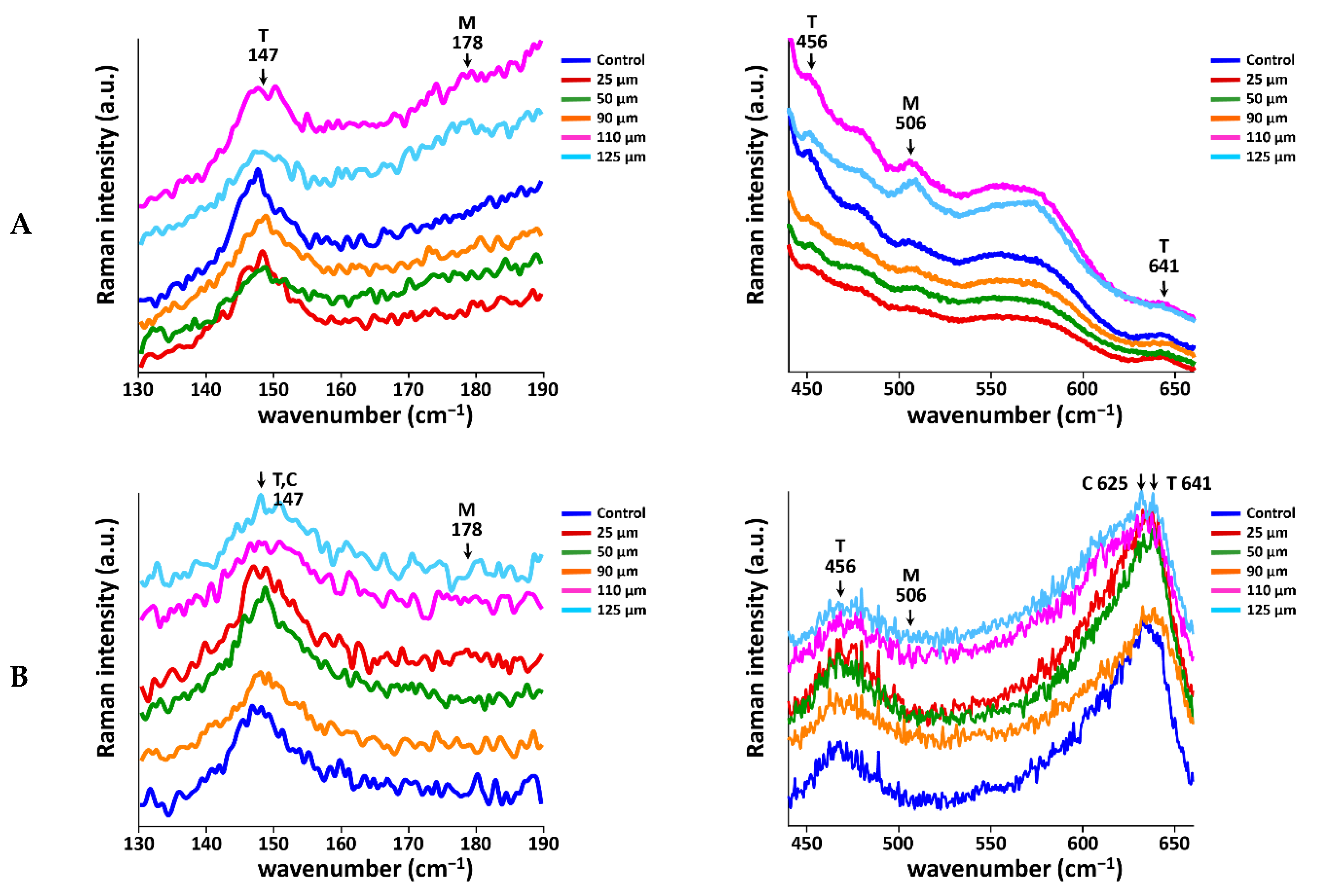 Materials 14 00610 g006a Materials 14 00610 g006a