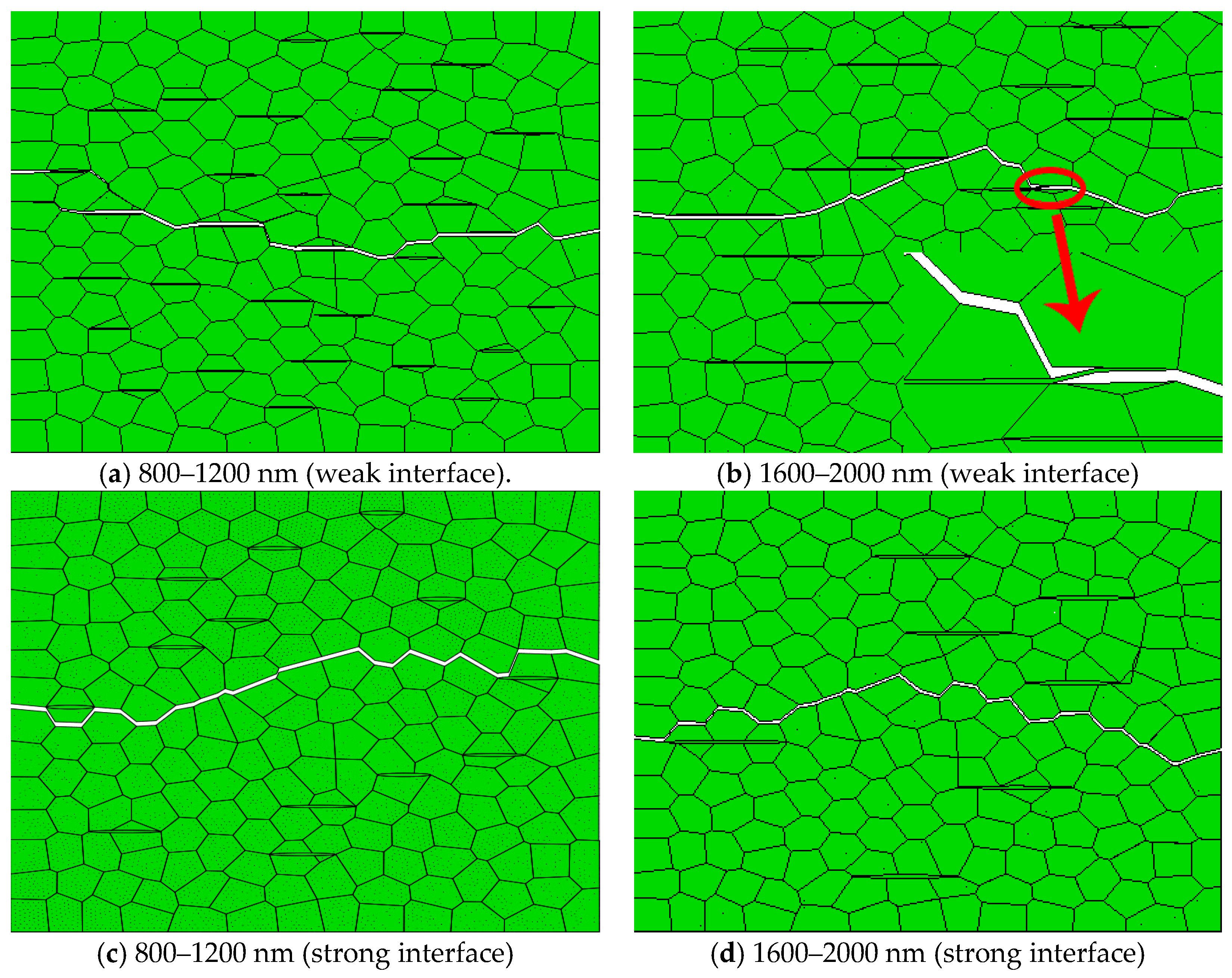 Materials 14 00611 g003 Materials 14 00611 g003