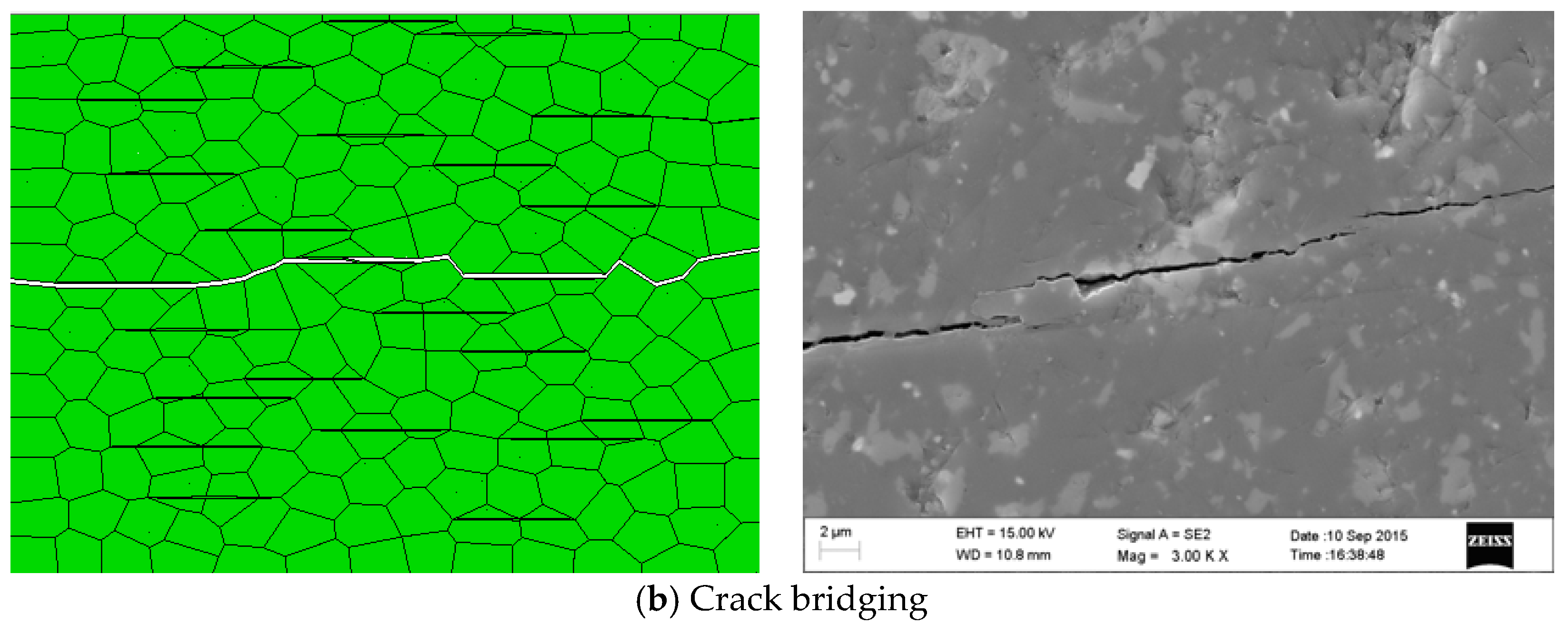 Materials 14 00611 g008b Materials 14 00611 g008b