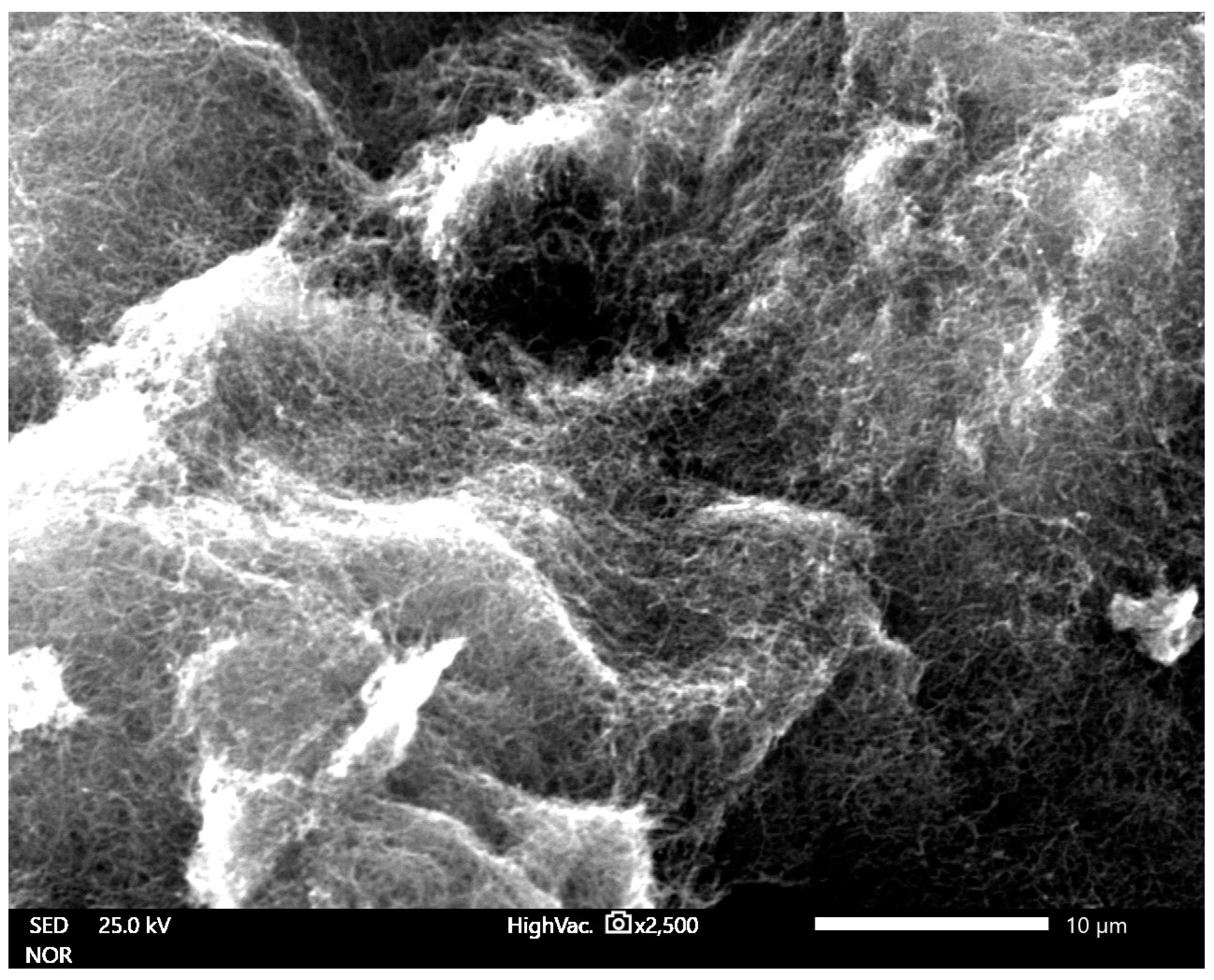 Materials 14 00612 g004