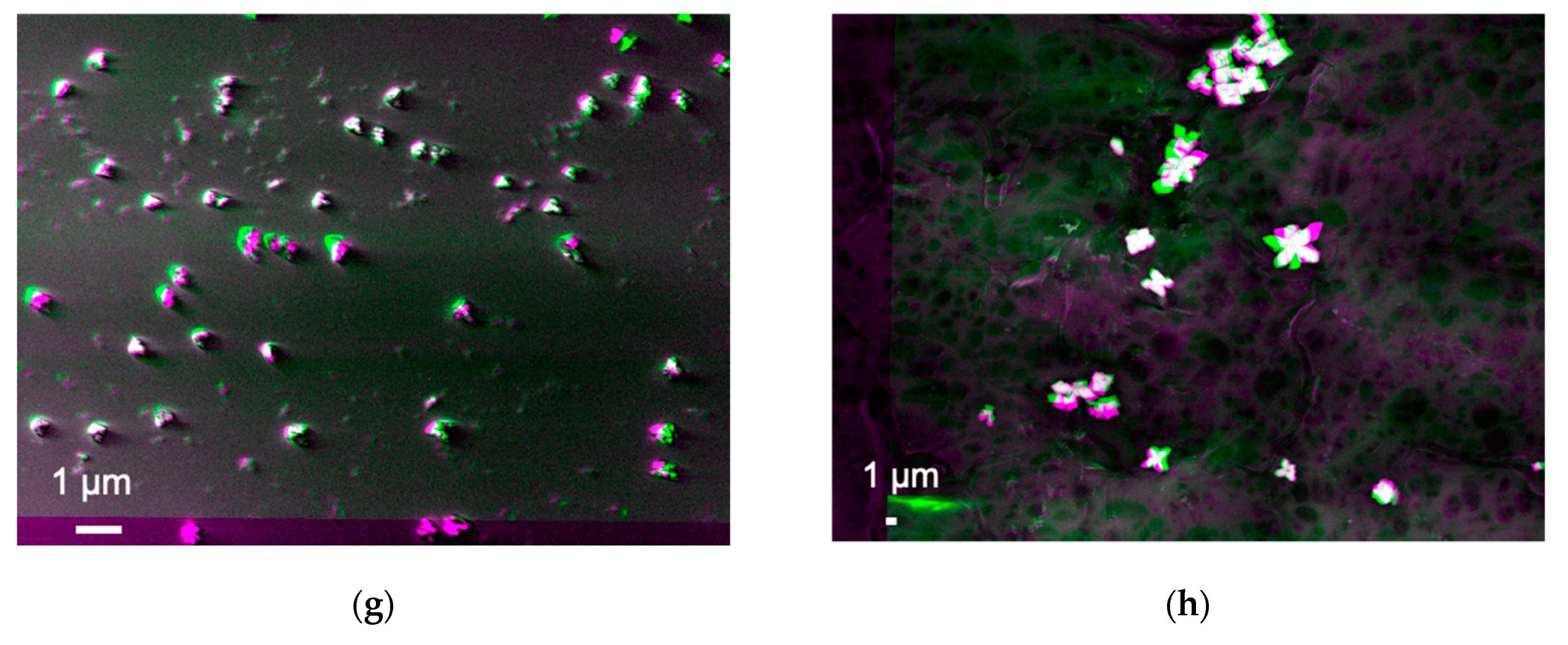 Materials 14 00613 g002b