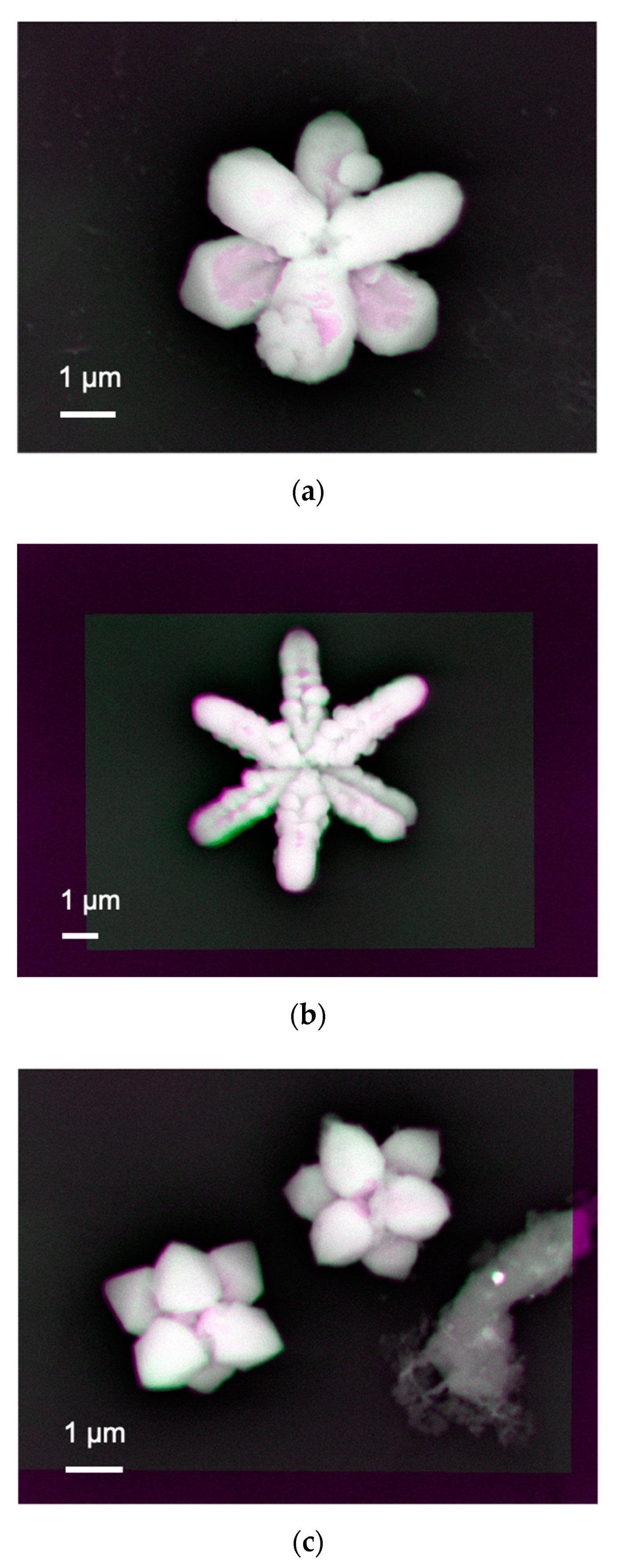 Materials 14 00613 g003