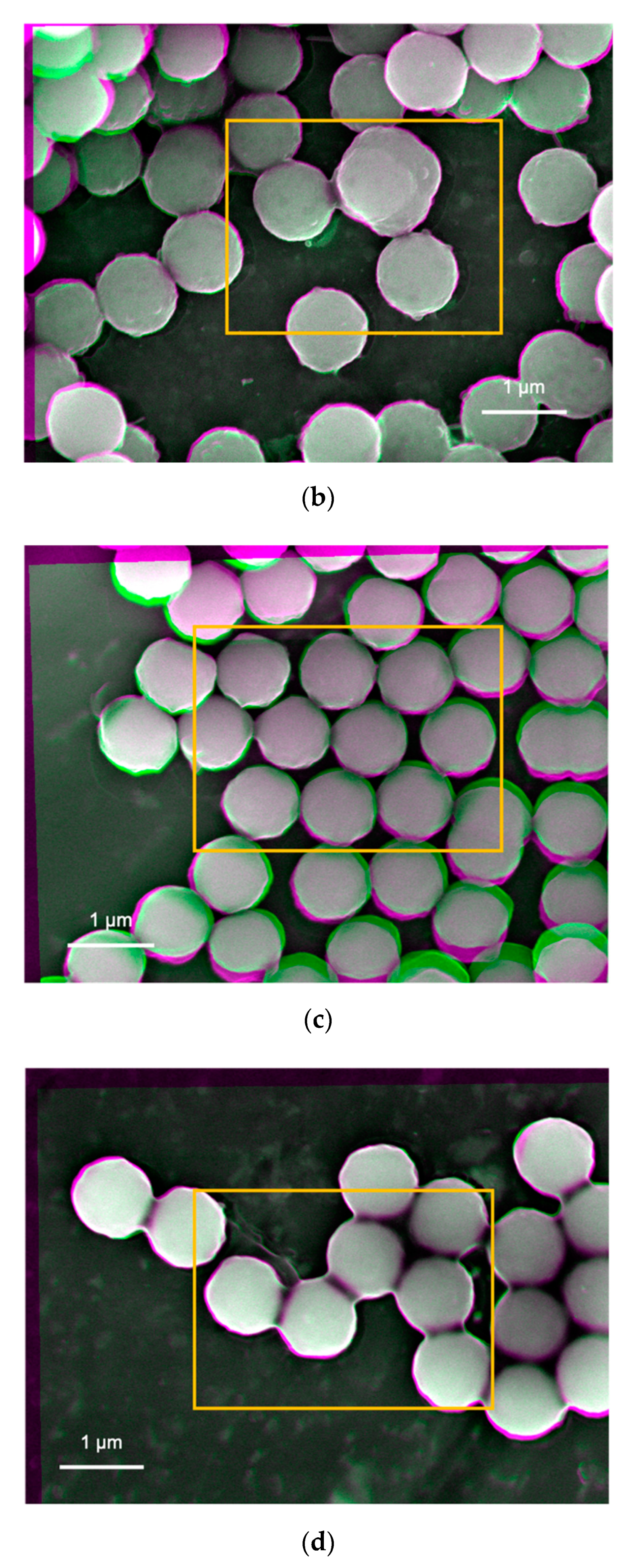 Materials 14 00613 g004b