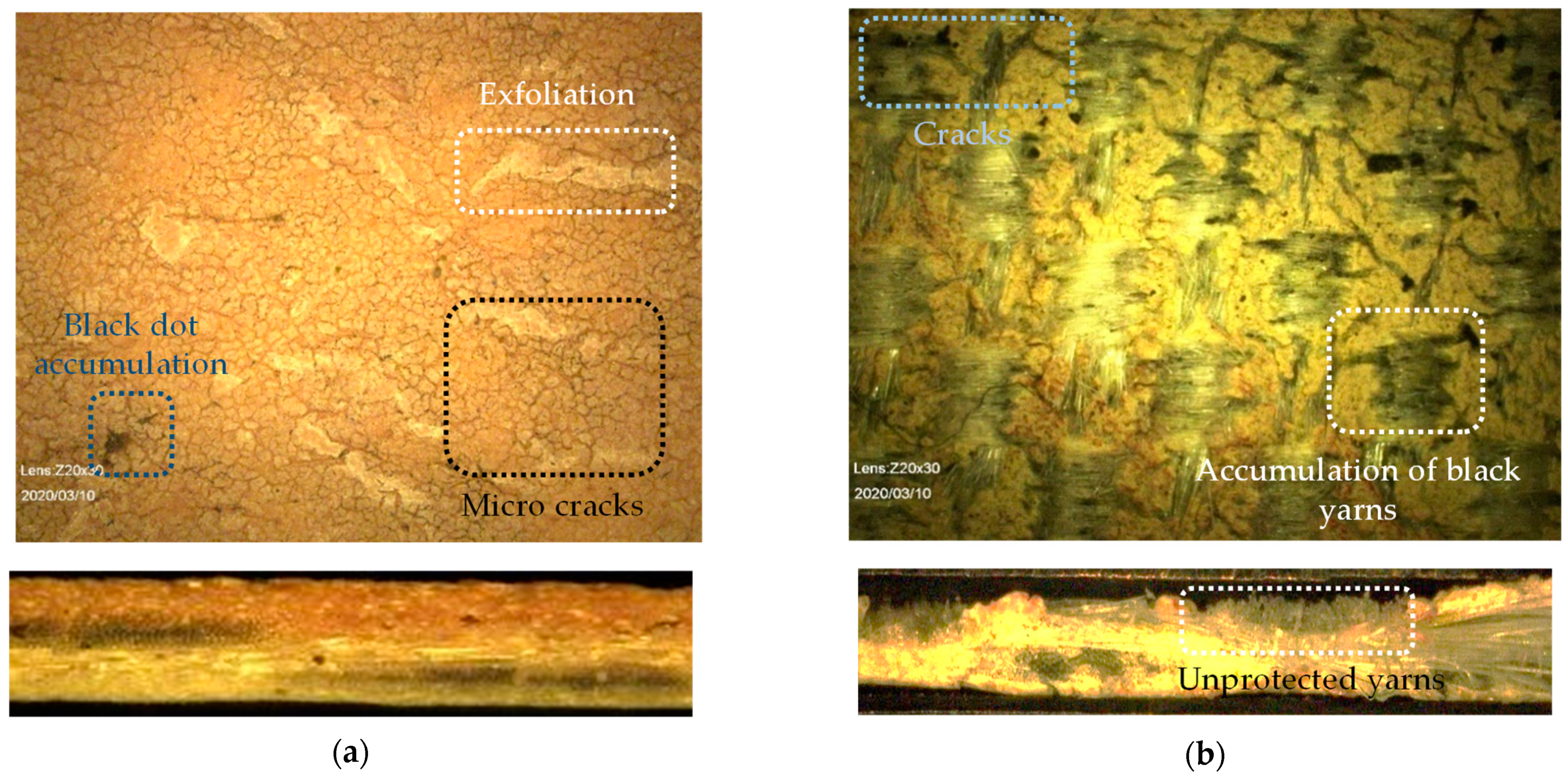 Materials 14 00618 g002 Materials 14 00618 g002