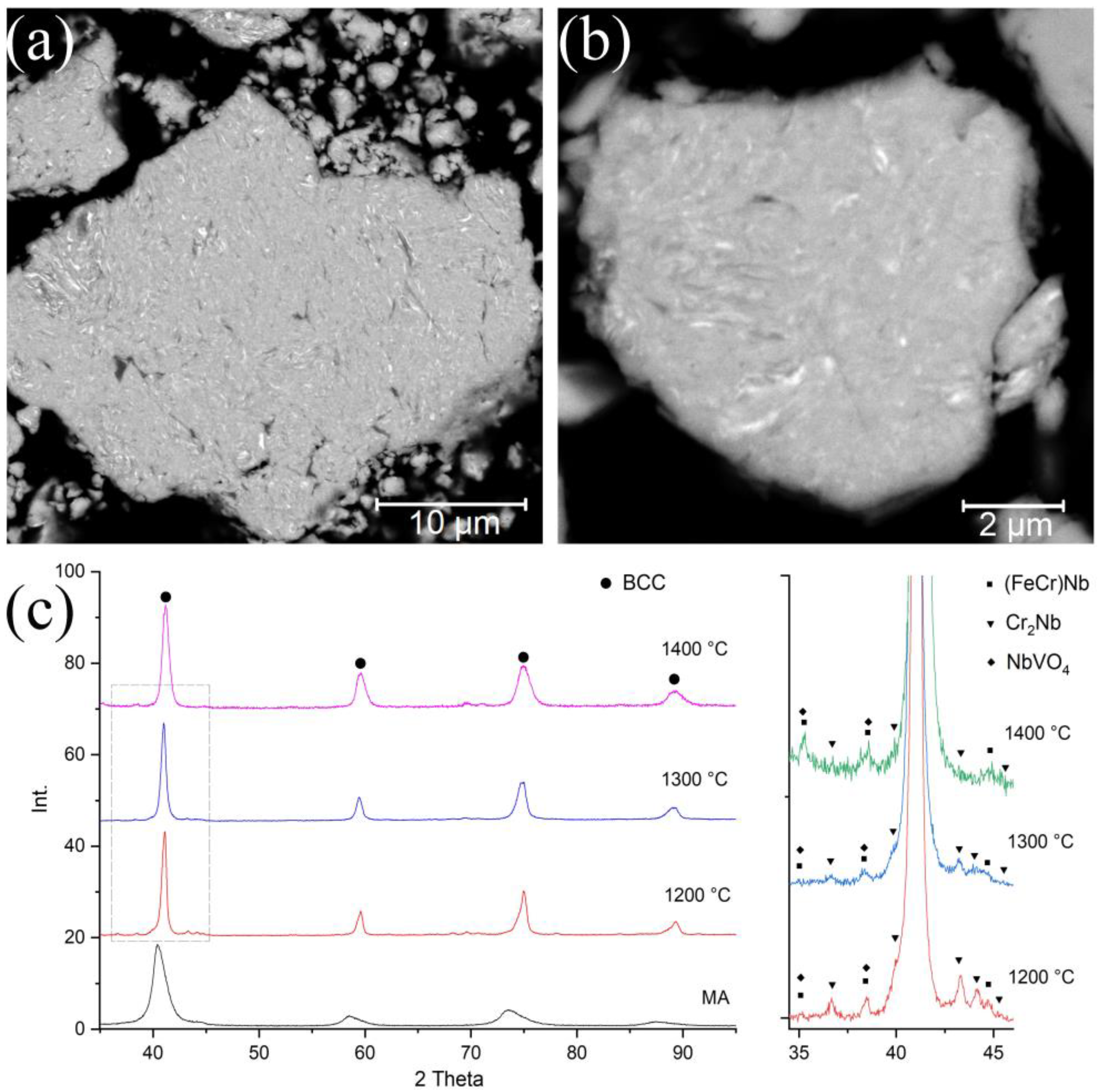 Materials 14 00621 g001