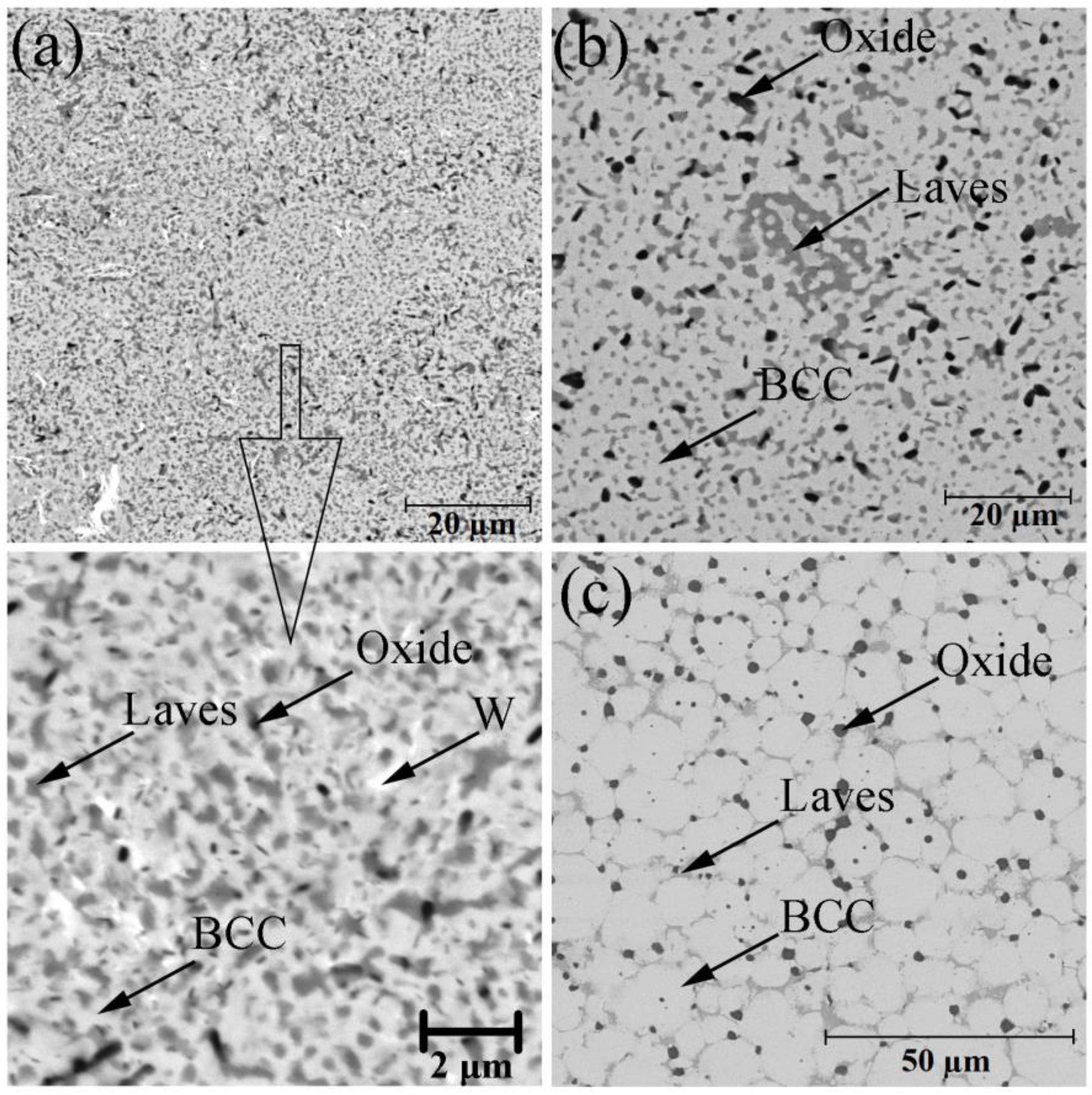 Materials 14 00621 g002