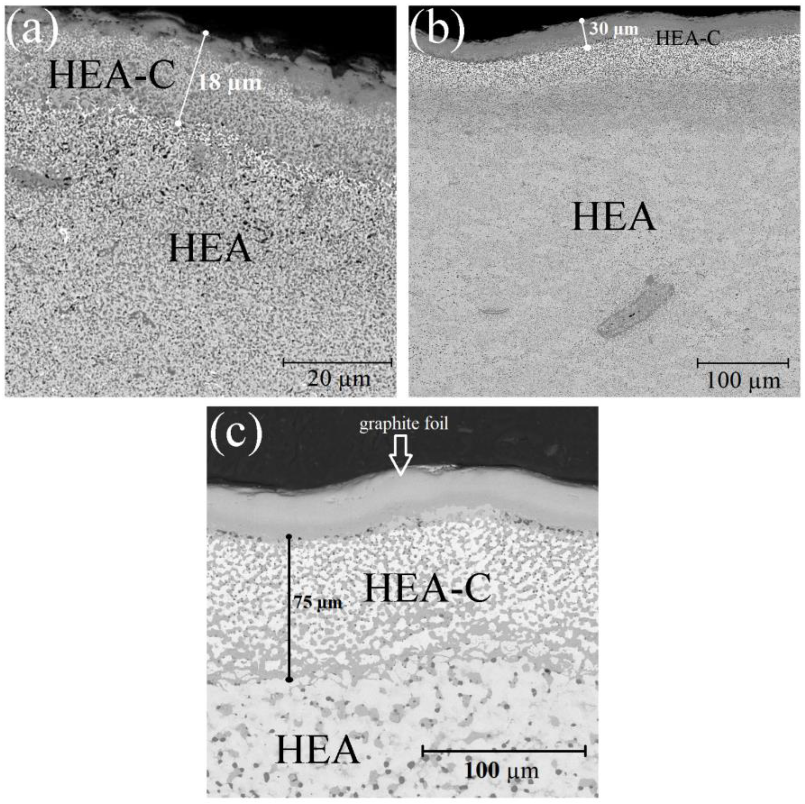 Materials 14 00621 g003