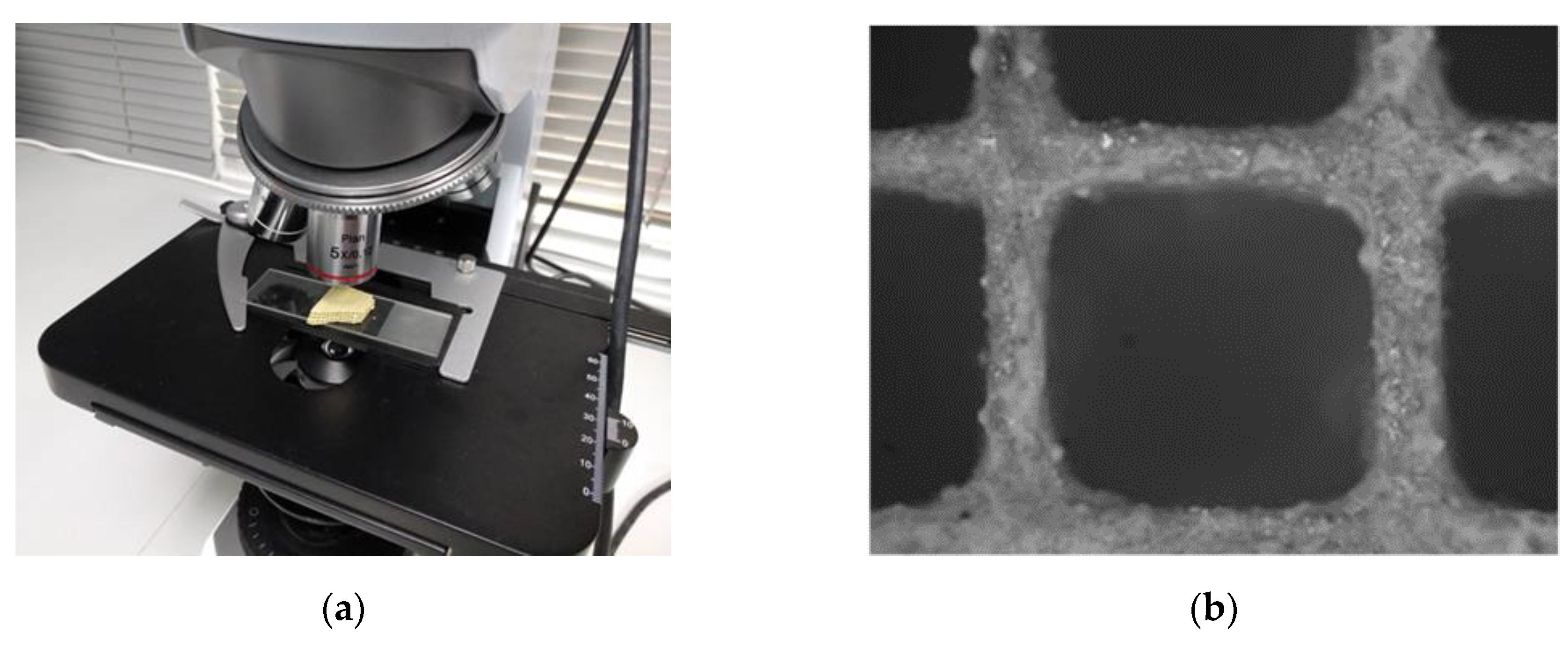 Materials 14 00622 g015